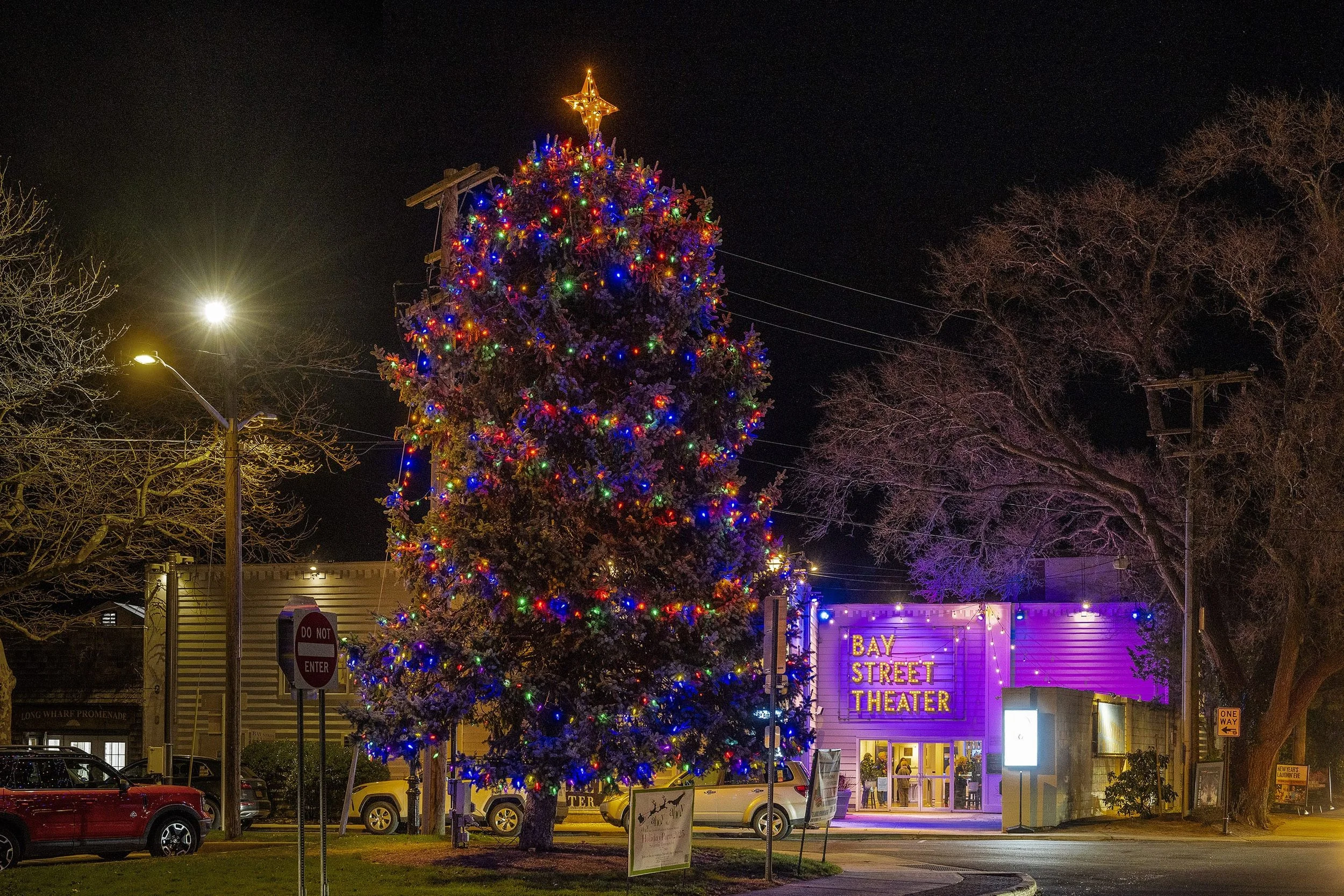 HDF2025_12_9_SagHarborTree_NZ82558_6x9.jpg