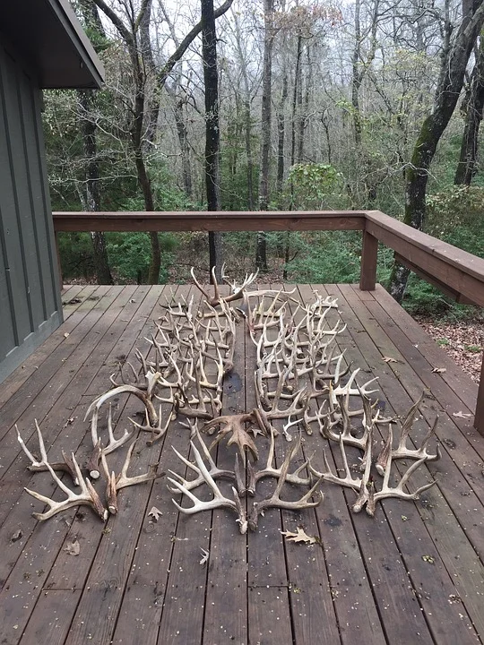 Jesse Enjoys Shooting from the Back Porch Deck - However, He Only Wishes that he Harvested the Whitetail with these Racks!
