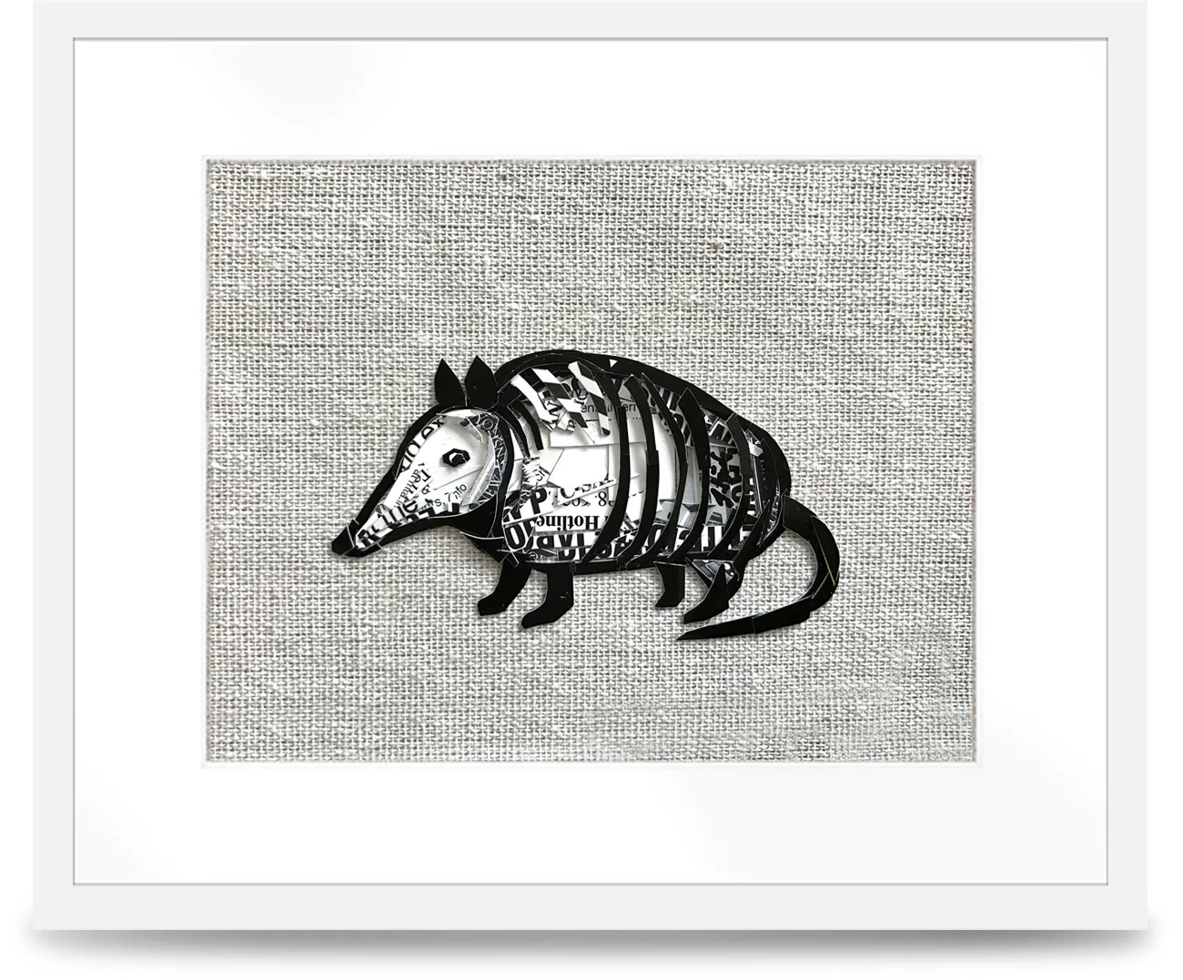 canvas_armadillo_fullsize.jpg