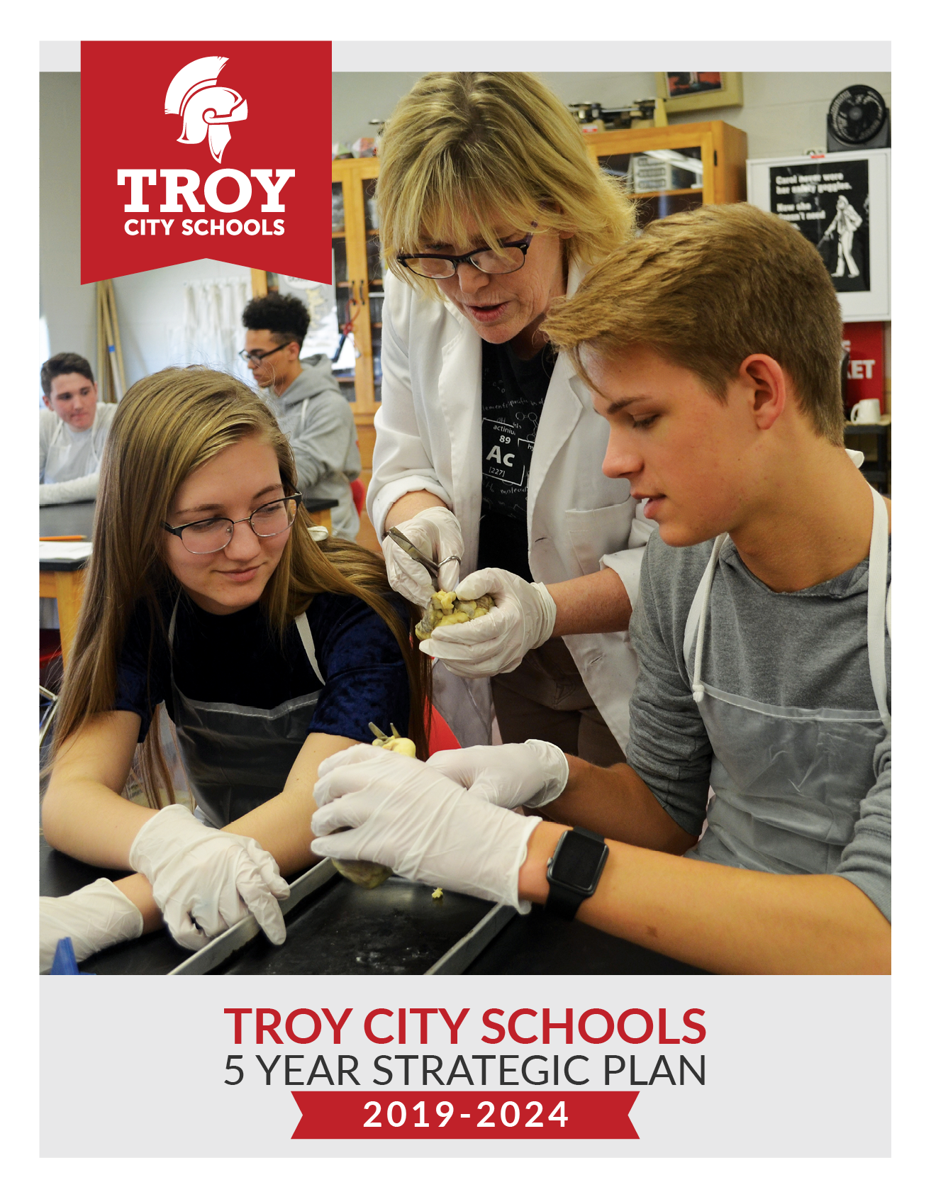 Troy 5-Year Strategic Plan