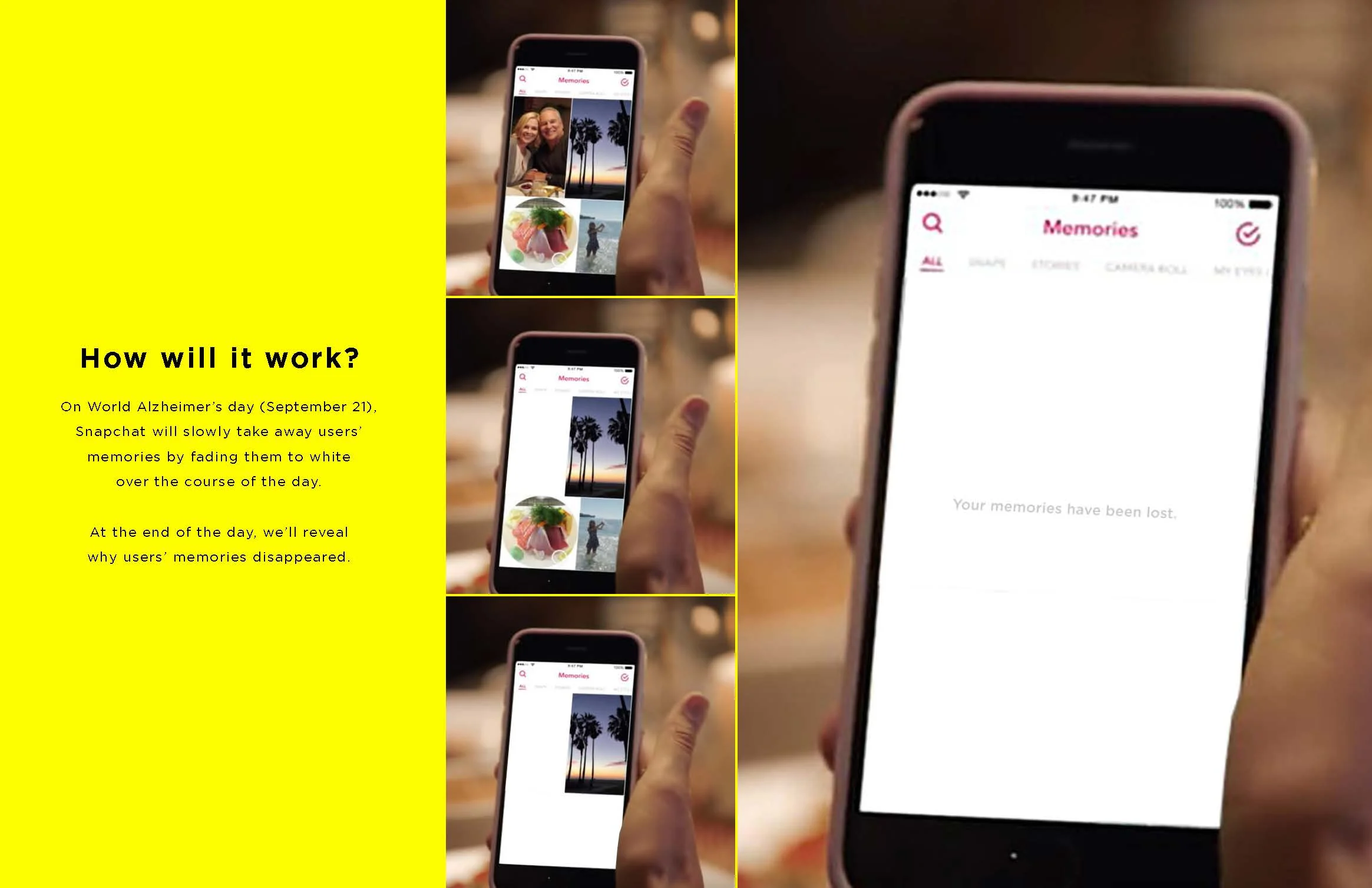 Gone In A Snap Gil Templeton