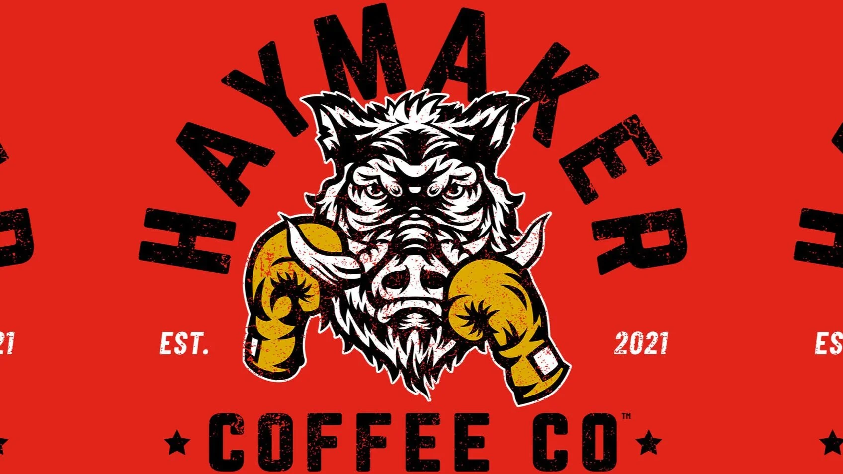 Haymaker_Sliders_2560x1440_Logos.jpg