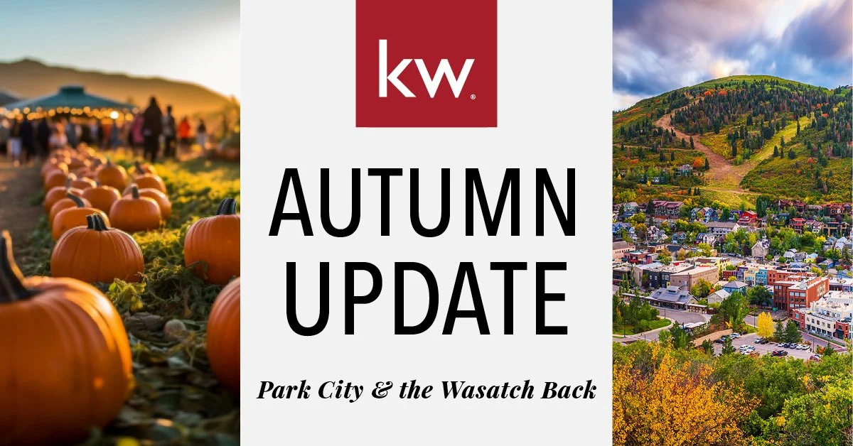 17 - Autumn Update.jpg