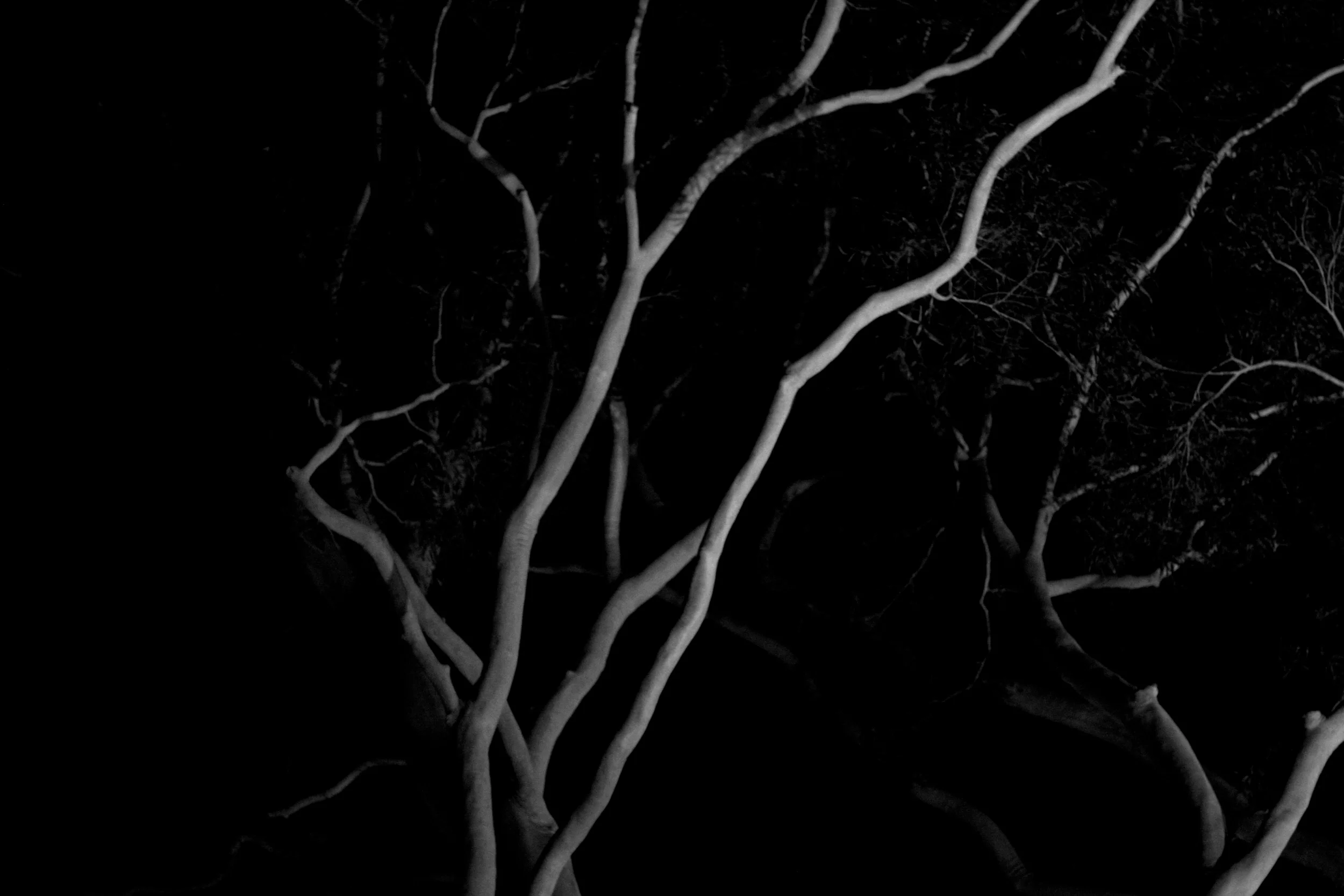 Rare Air 2  |  simon peterffy