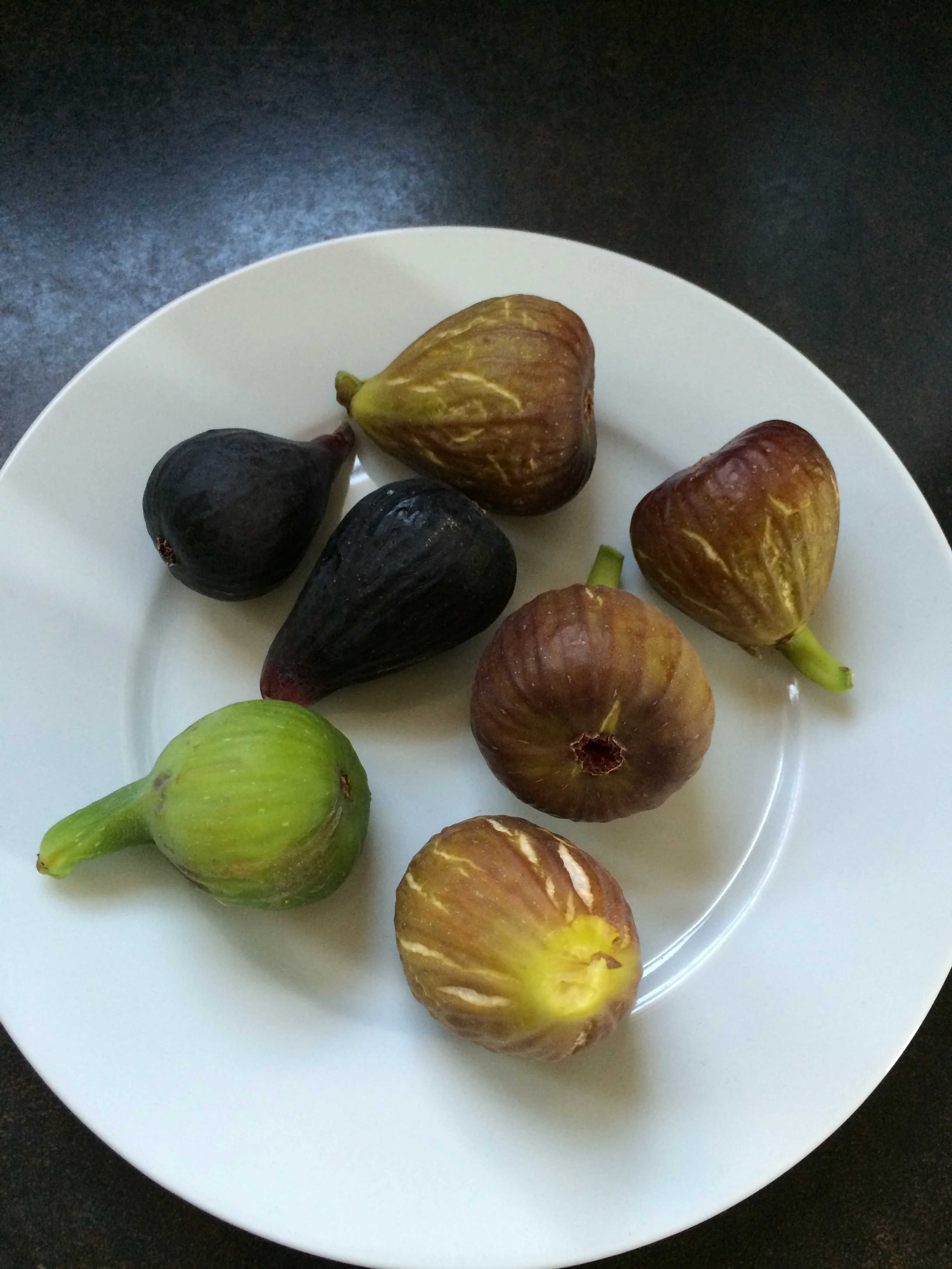 french fig farm