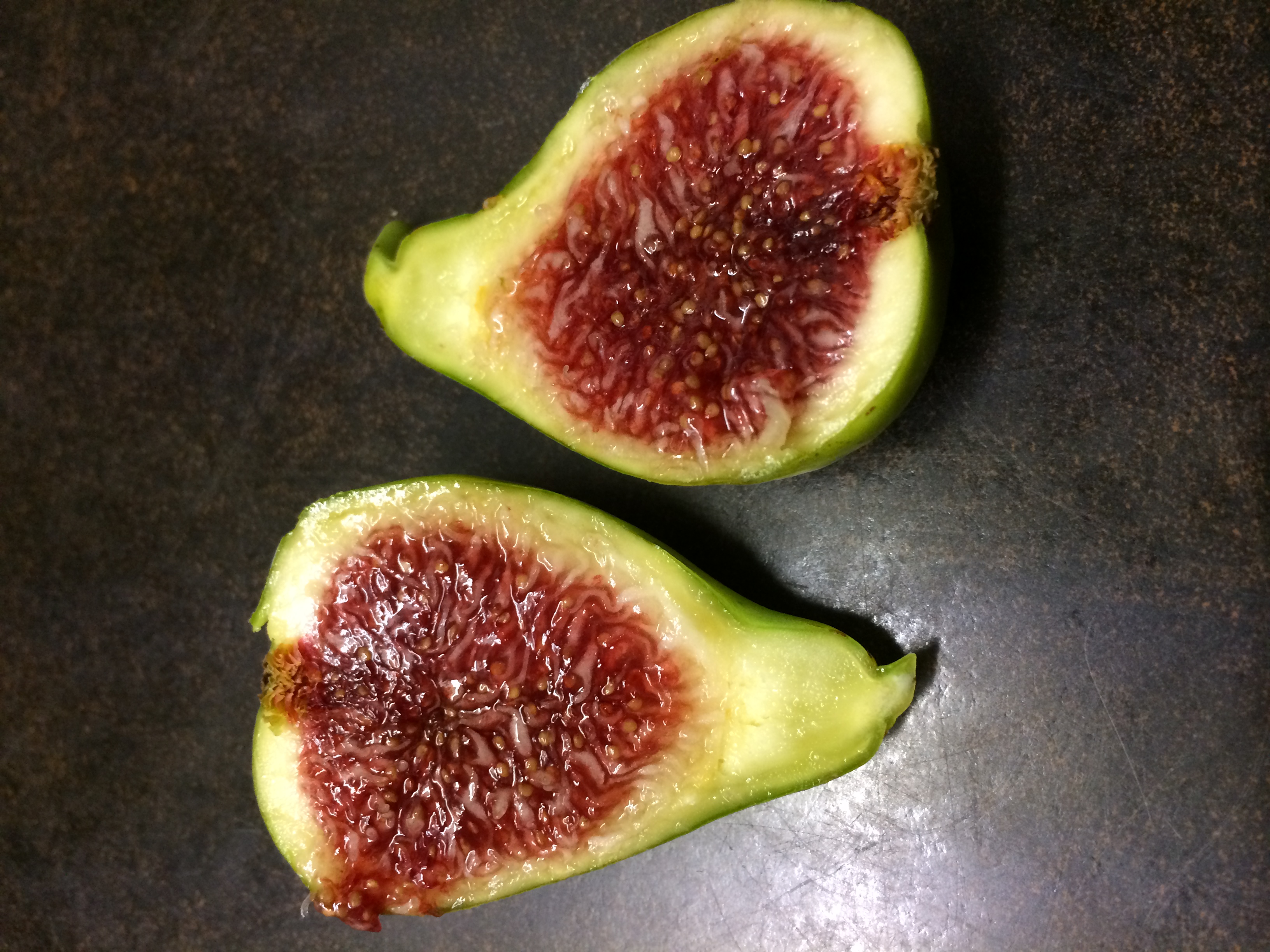 Battaglia — french fig farm