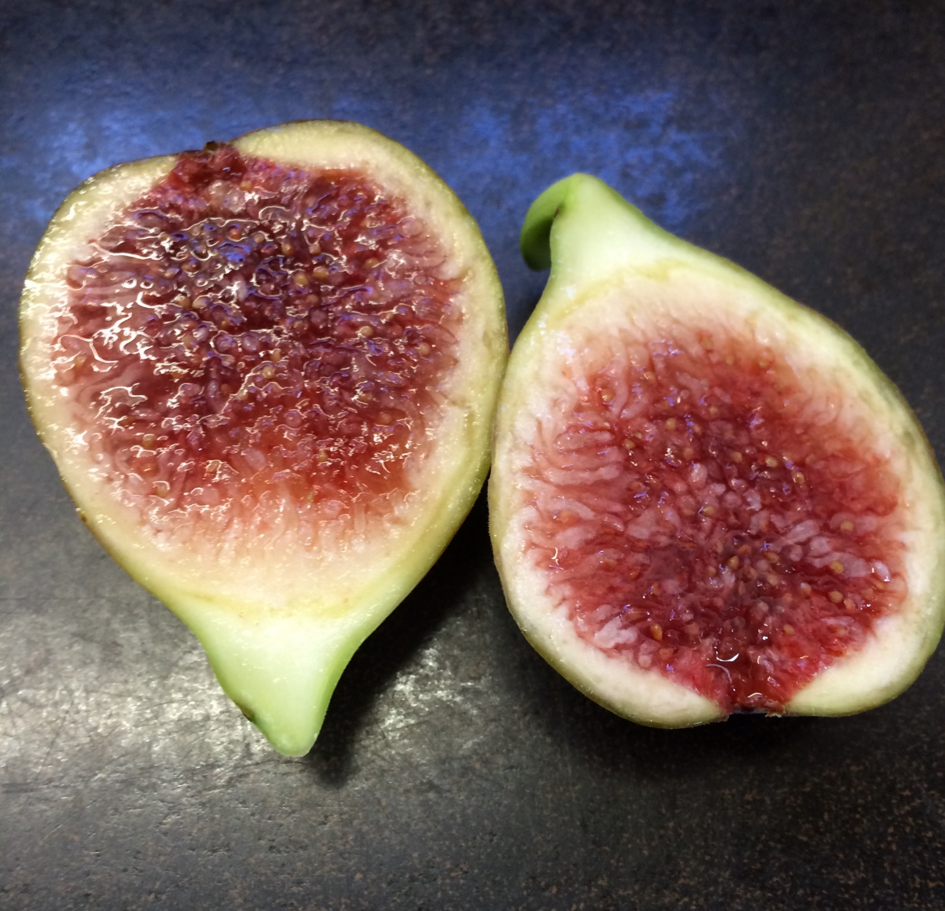 Fig Trees For Sale — french fig farm