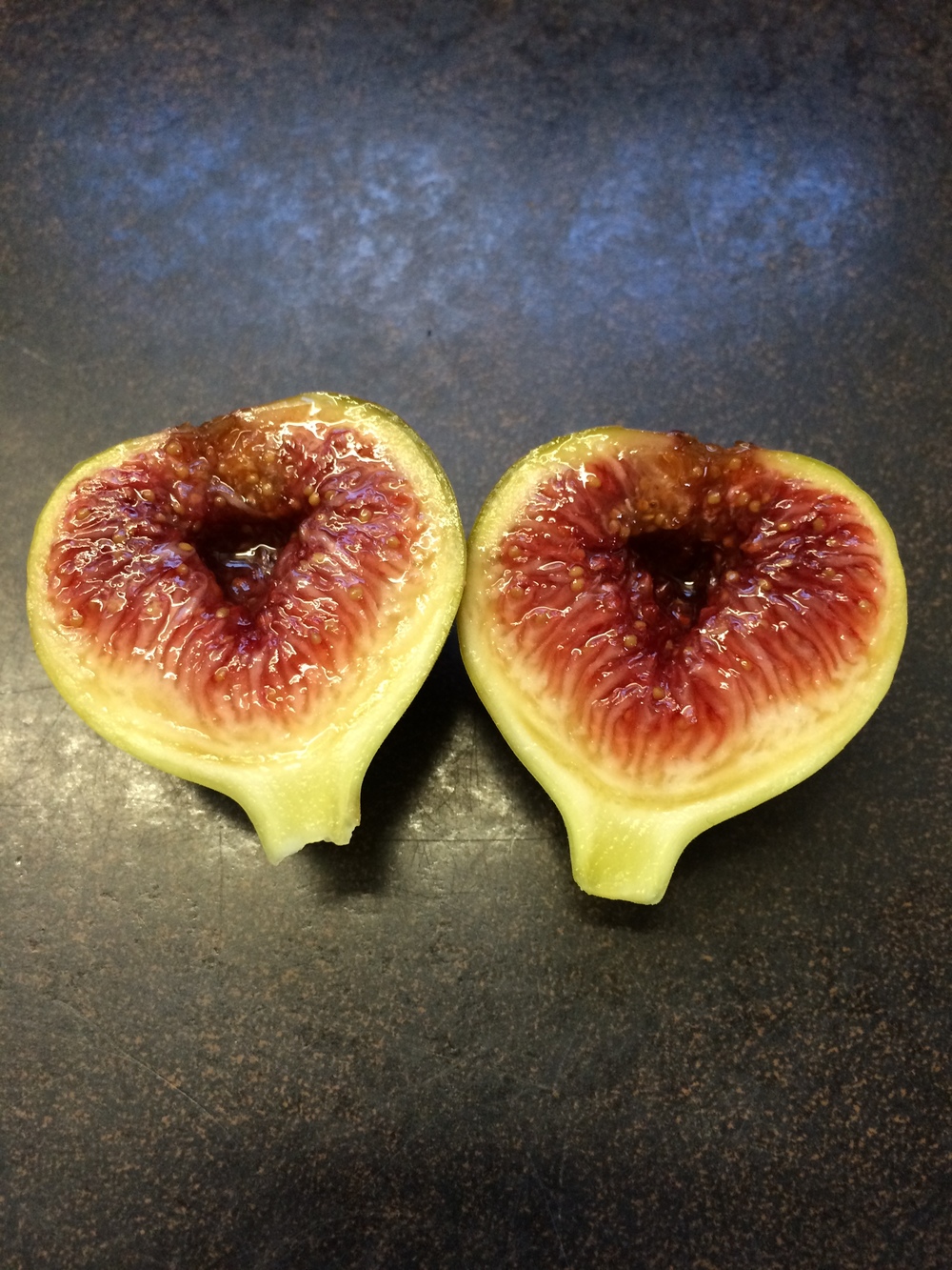 farm fig french de Blanca-Negra — Coll Dama