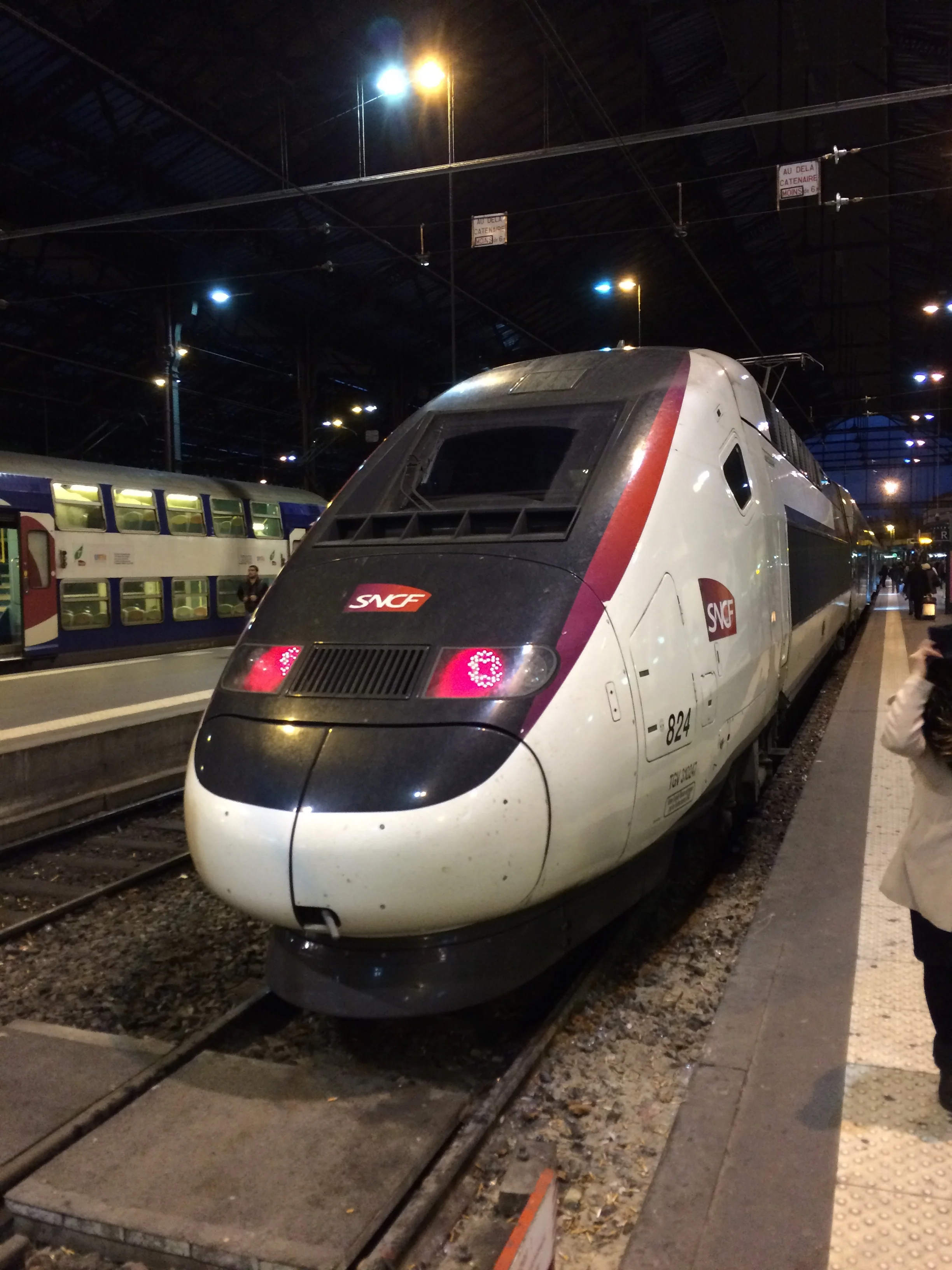 Rich, Mari and Petite start the trip to Pepinieres Baud by taking the 190 mph TGV south from Paris to Avignon early in the morning