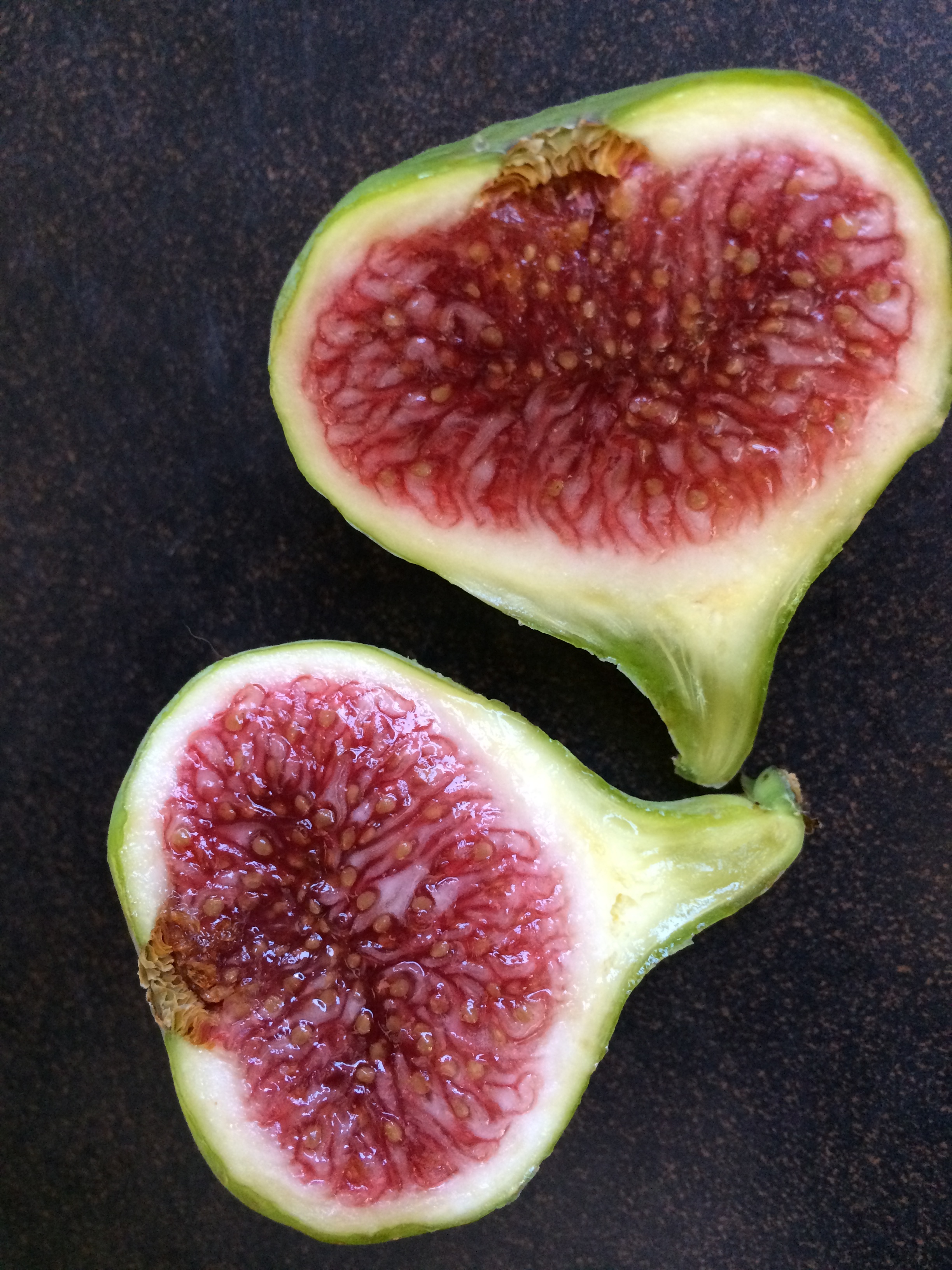 Fig Trees For Sale — french fig farm