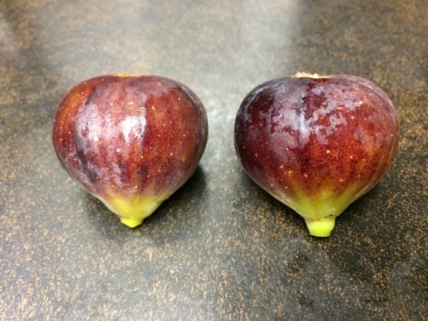 Coll de Dama Blanca-Negra — french fig farm