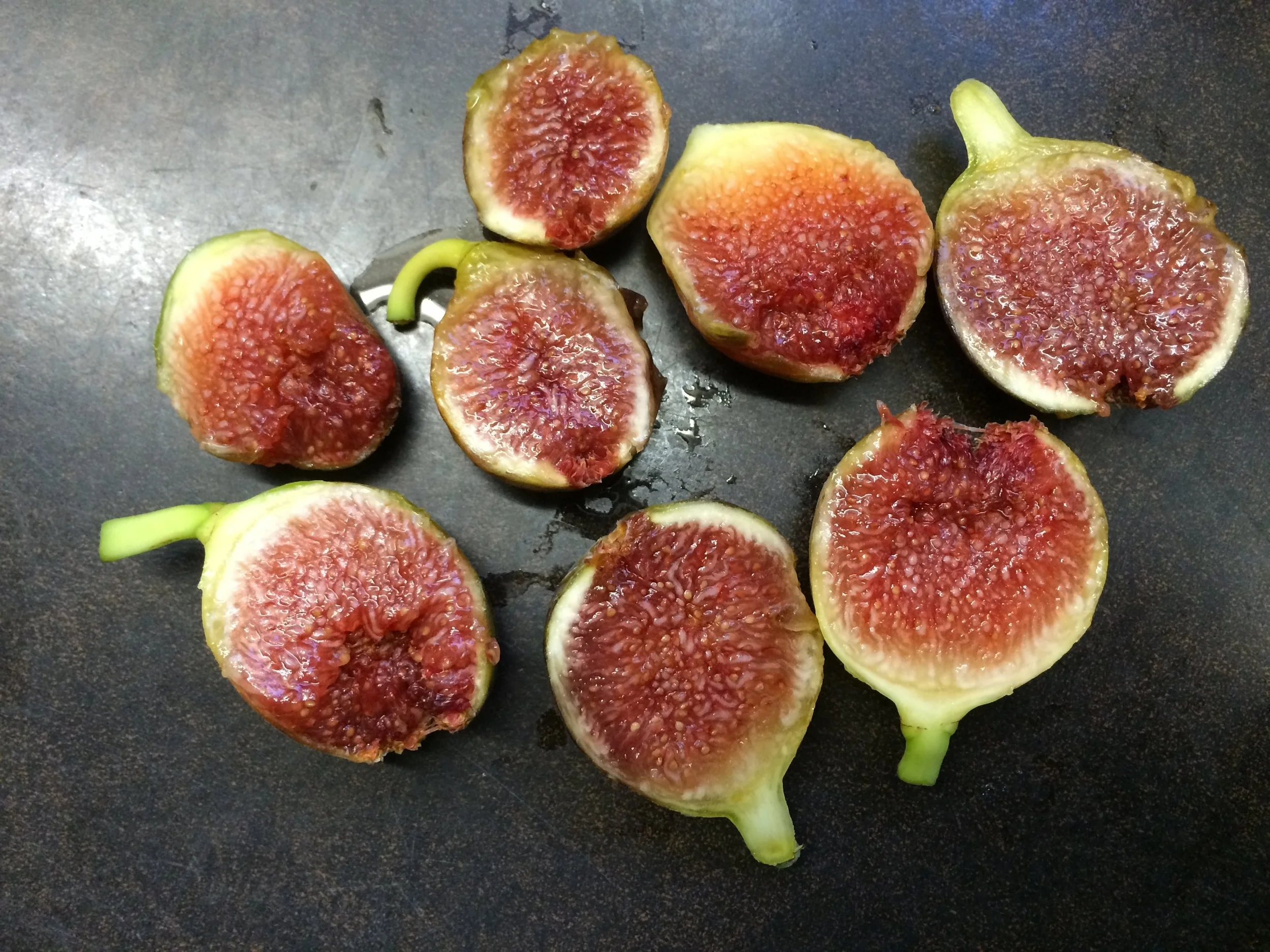 Fig Trees For Sale — french fig farm