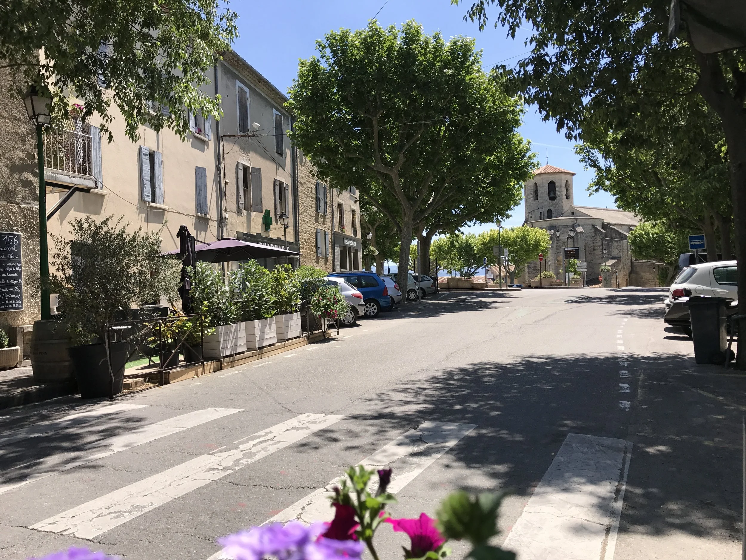  The main road in Caromb. The fig Noir de Caromb is named after this town. 