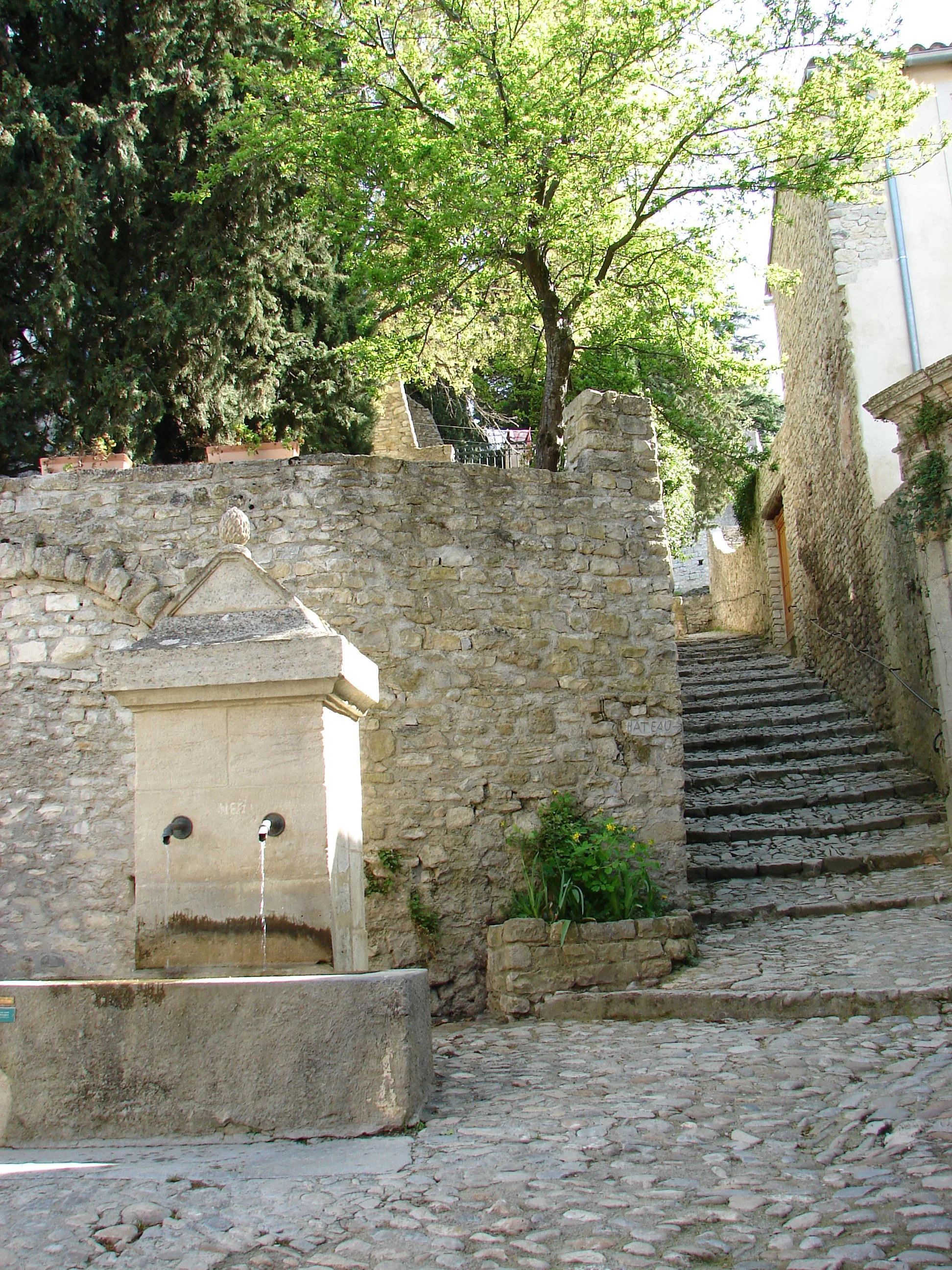 DSC07412.JPG