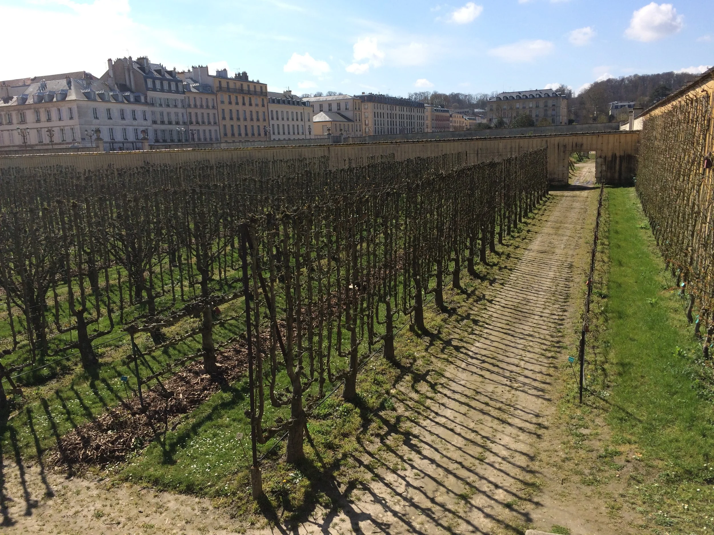  "Le Potager du Roi"  or the "Kitchen Garden of the King"