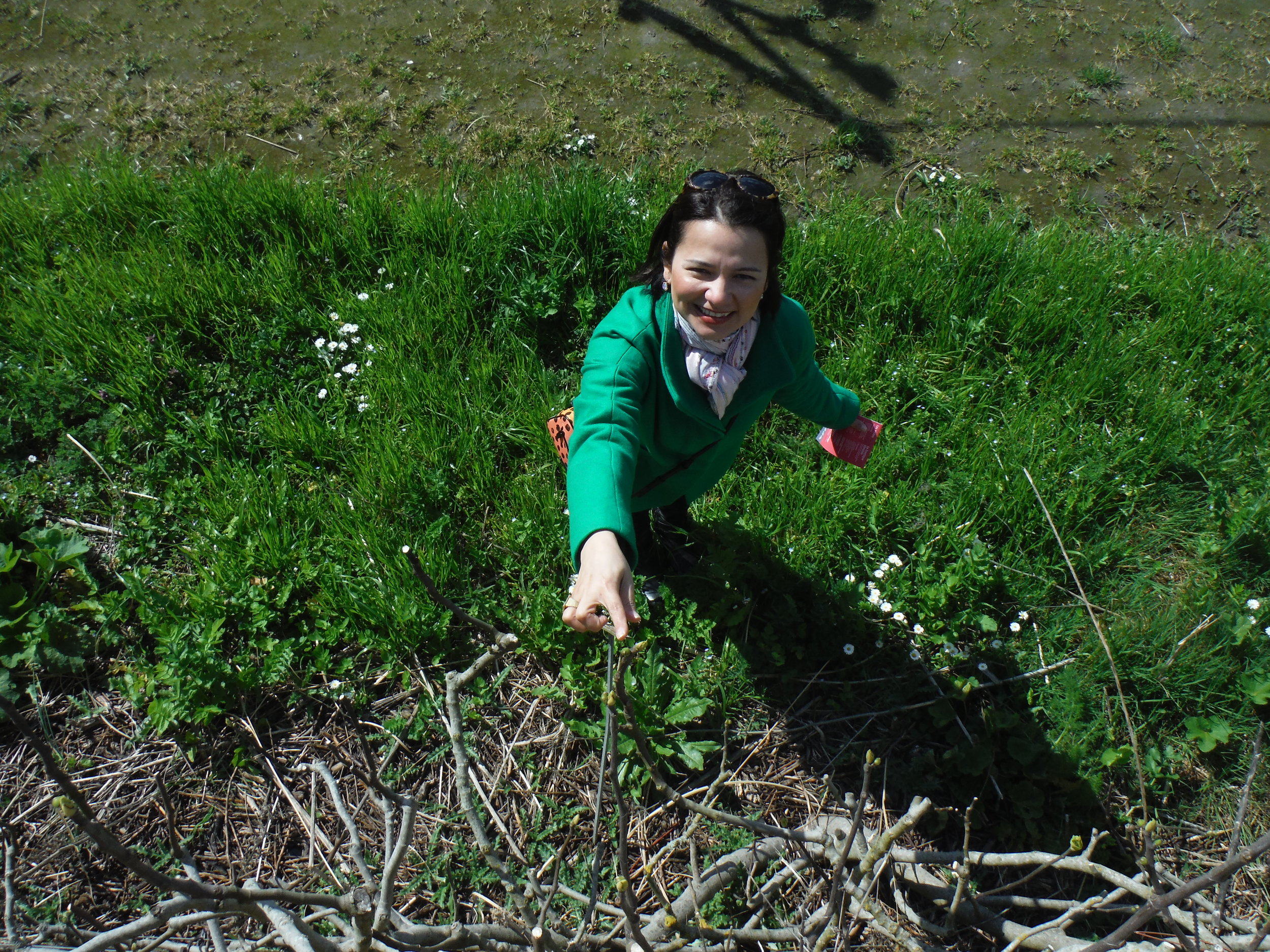 DSCF1039.JPG