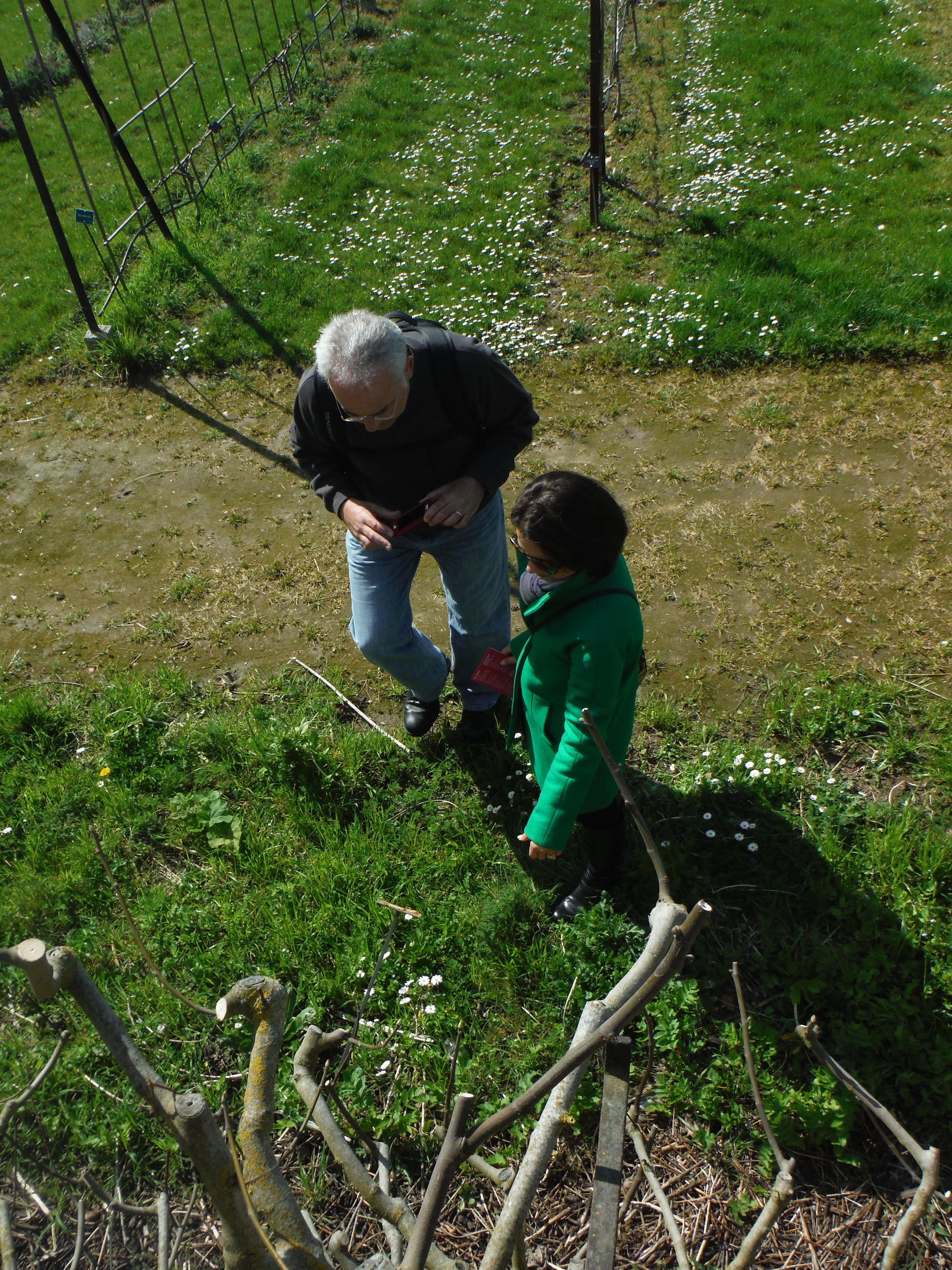 DSCF1041.JPG