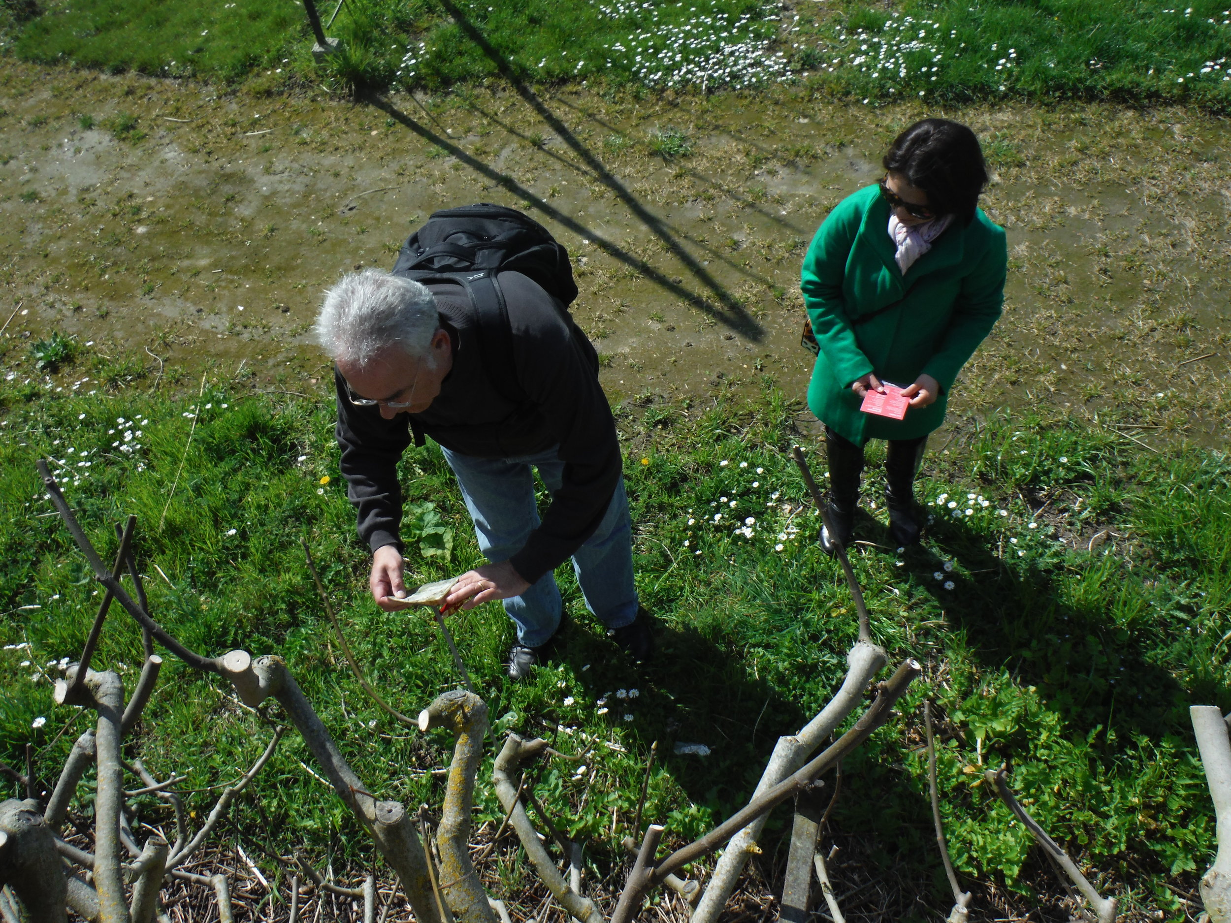 DSCF1044.JPG
