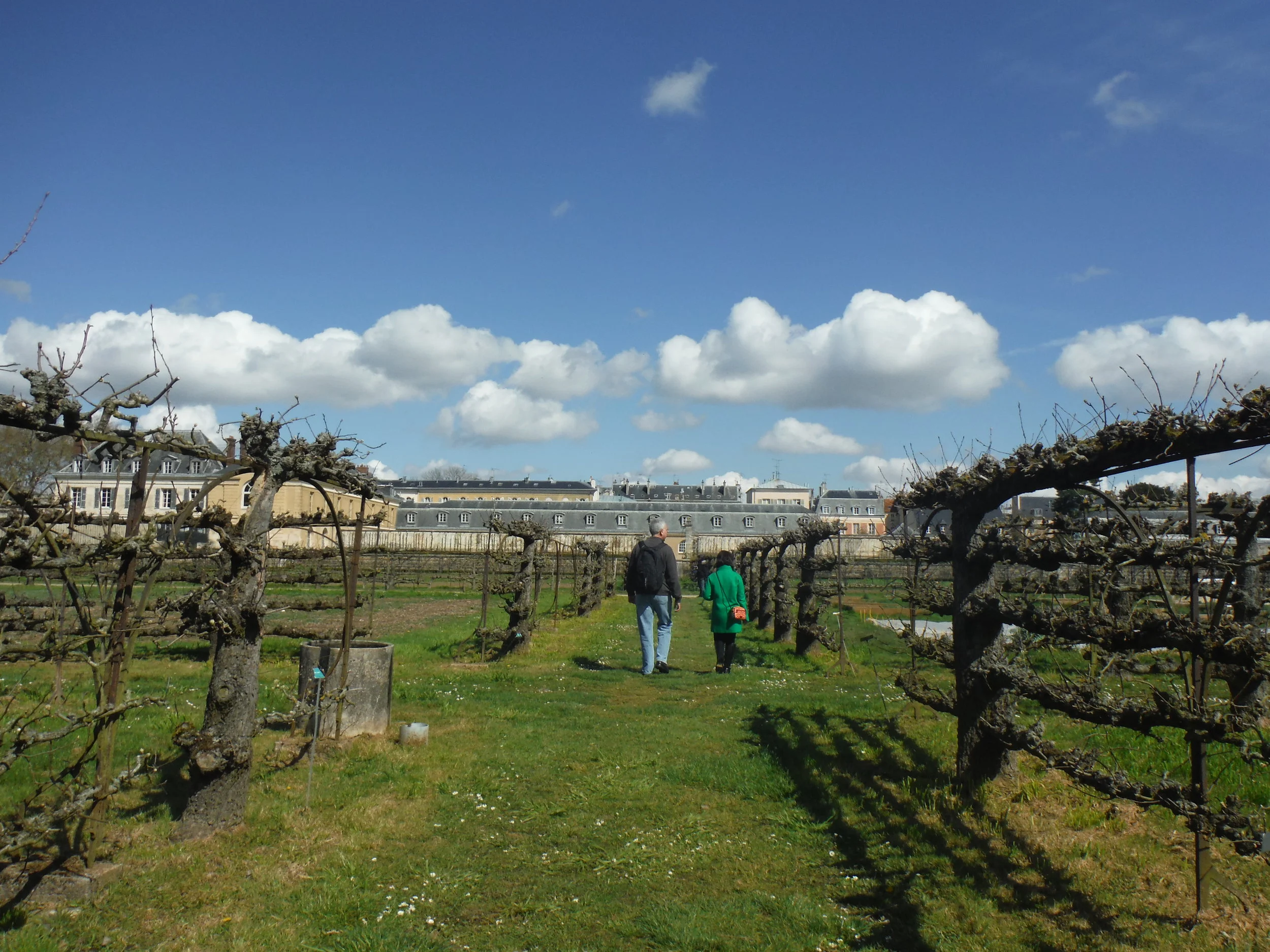 DSCF1083.JPG