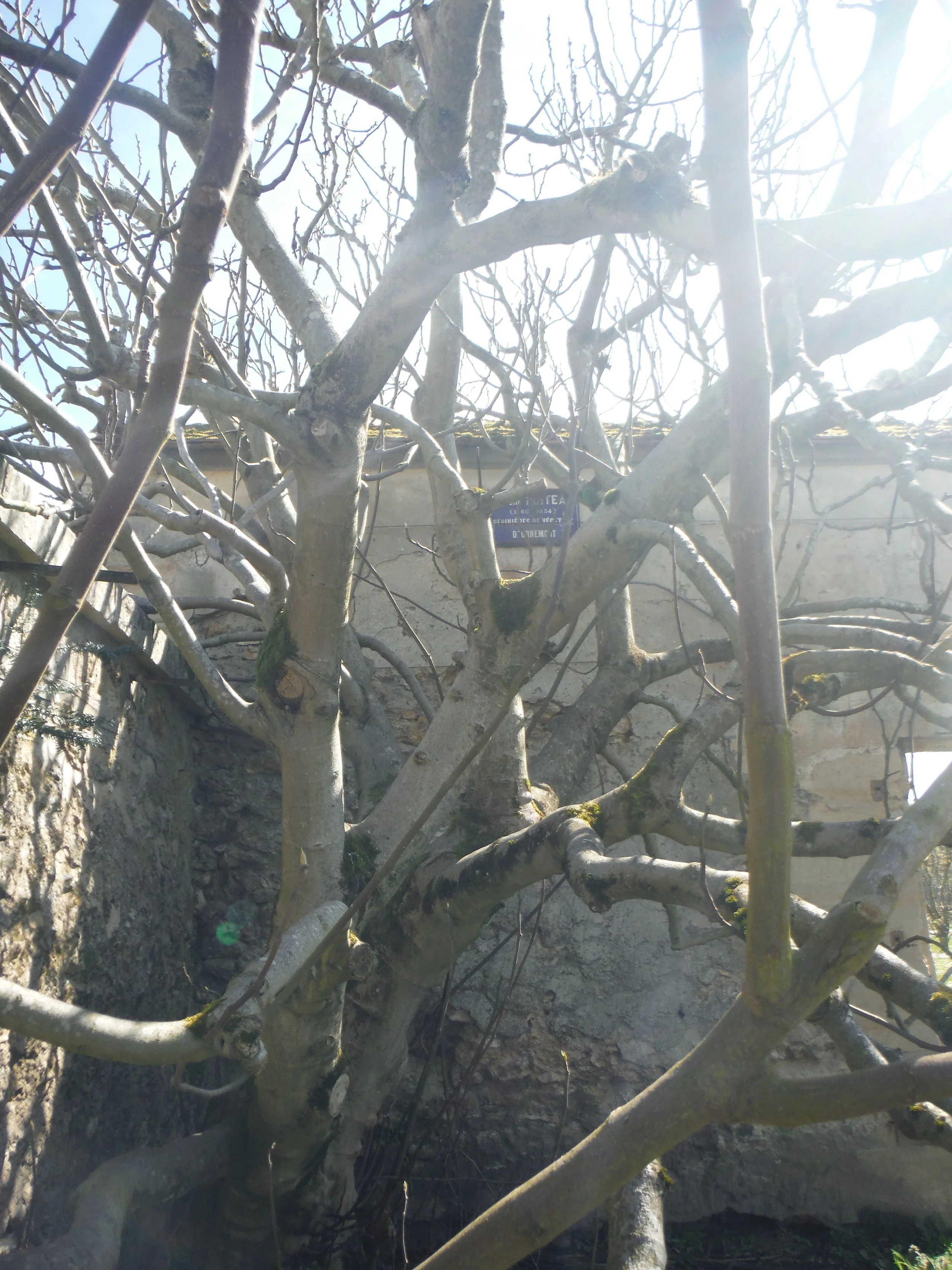 DSCF1080.JPG