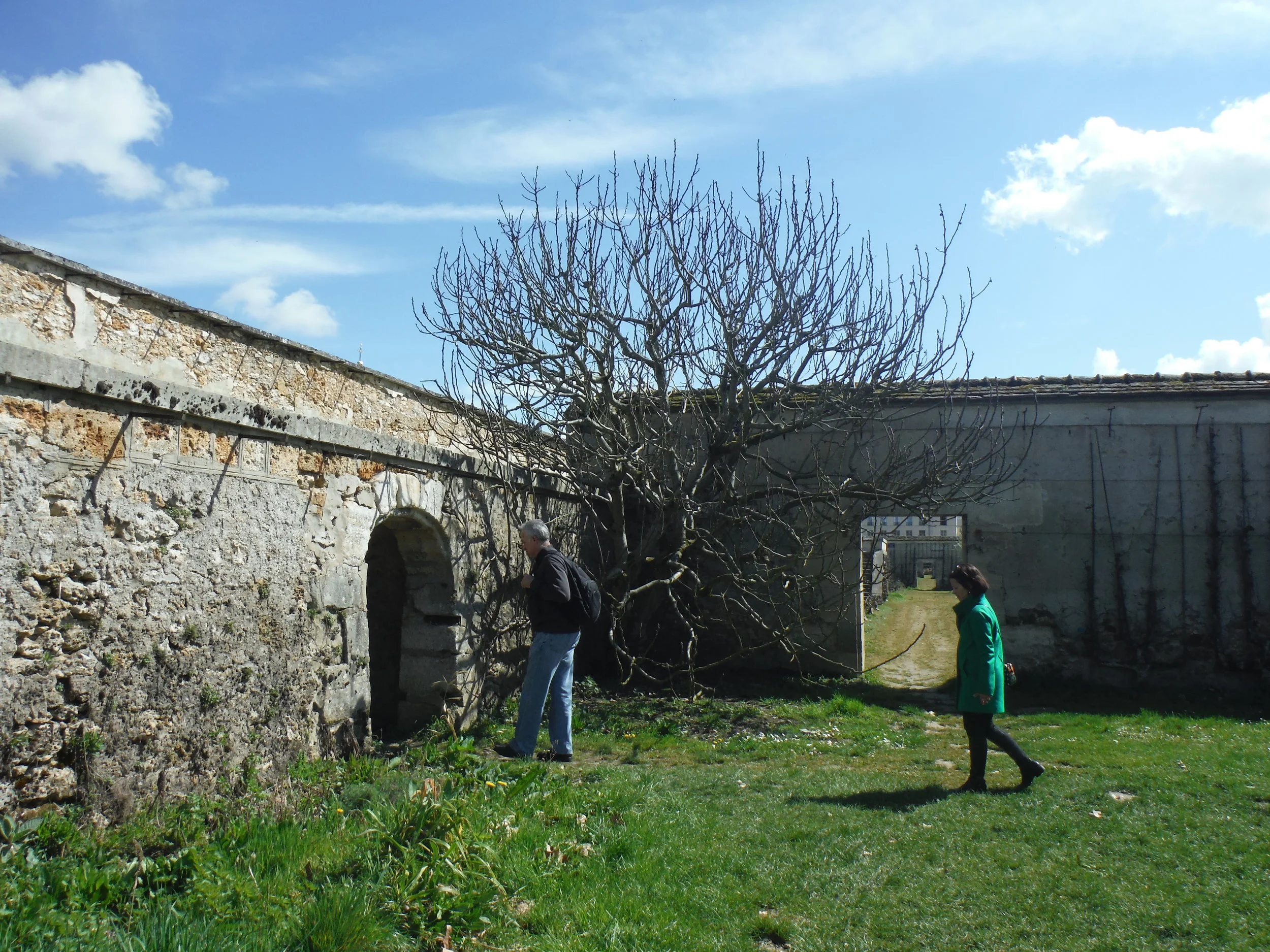 DSCF1079.JPG