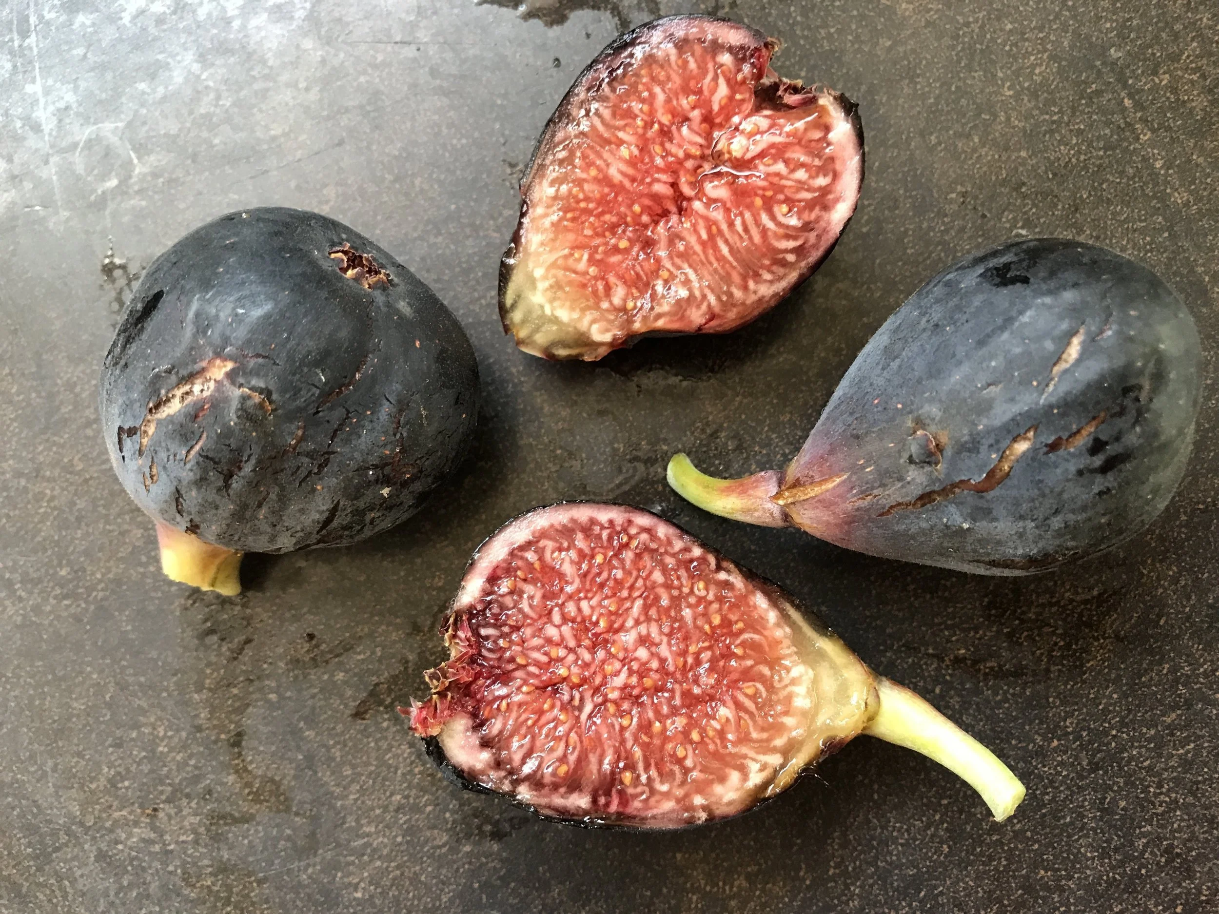 Fig Trees For Sale — french fig farm