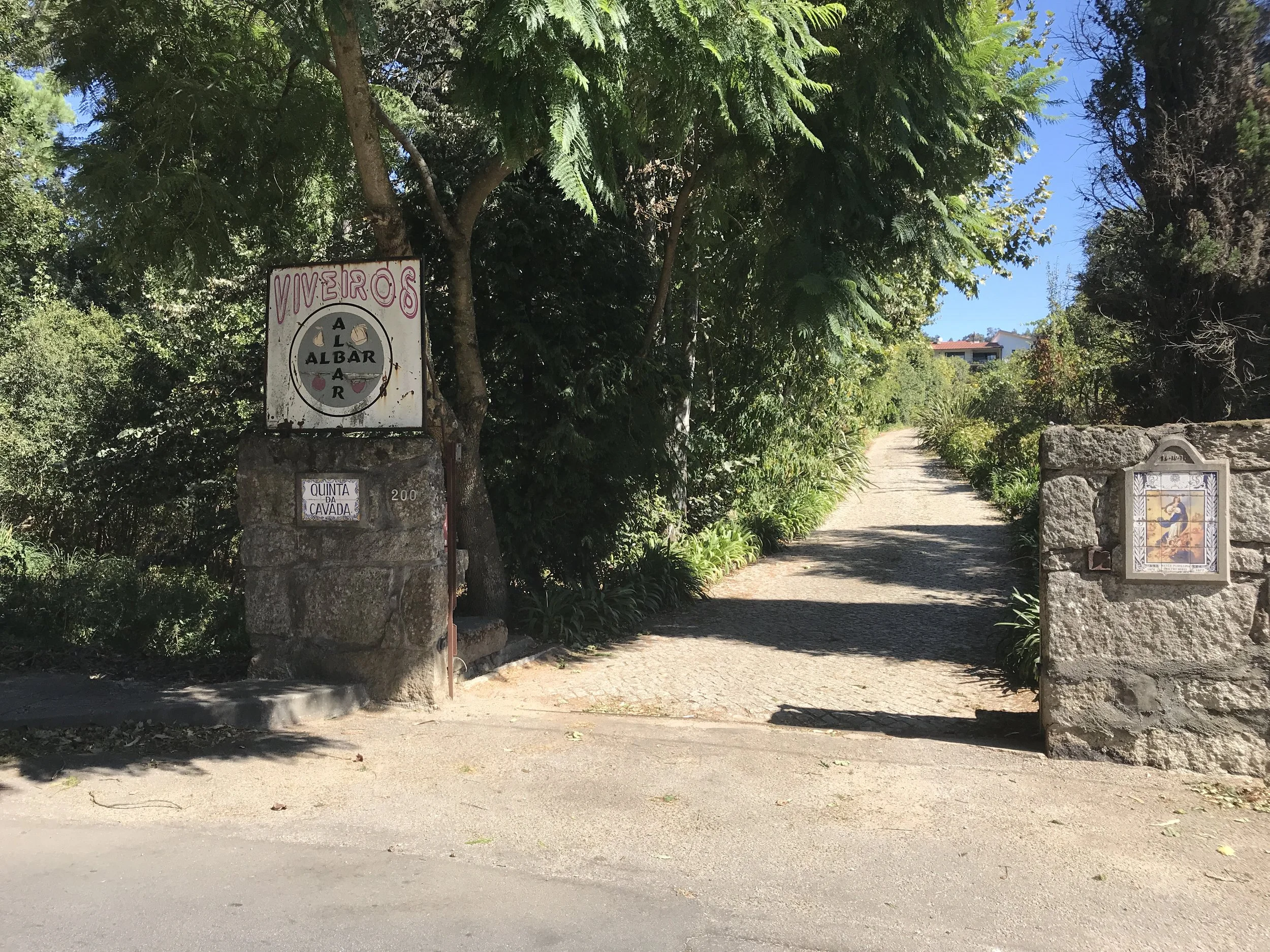  Most of the fig trees were grown at Acácio Barbosa’s house so we made our way over to the second location. The family has several places where they grow their fig trees.  Thank you Pedro and Victor. 