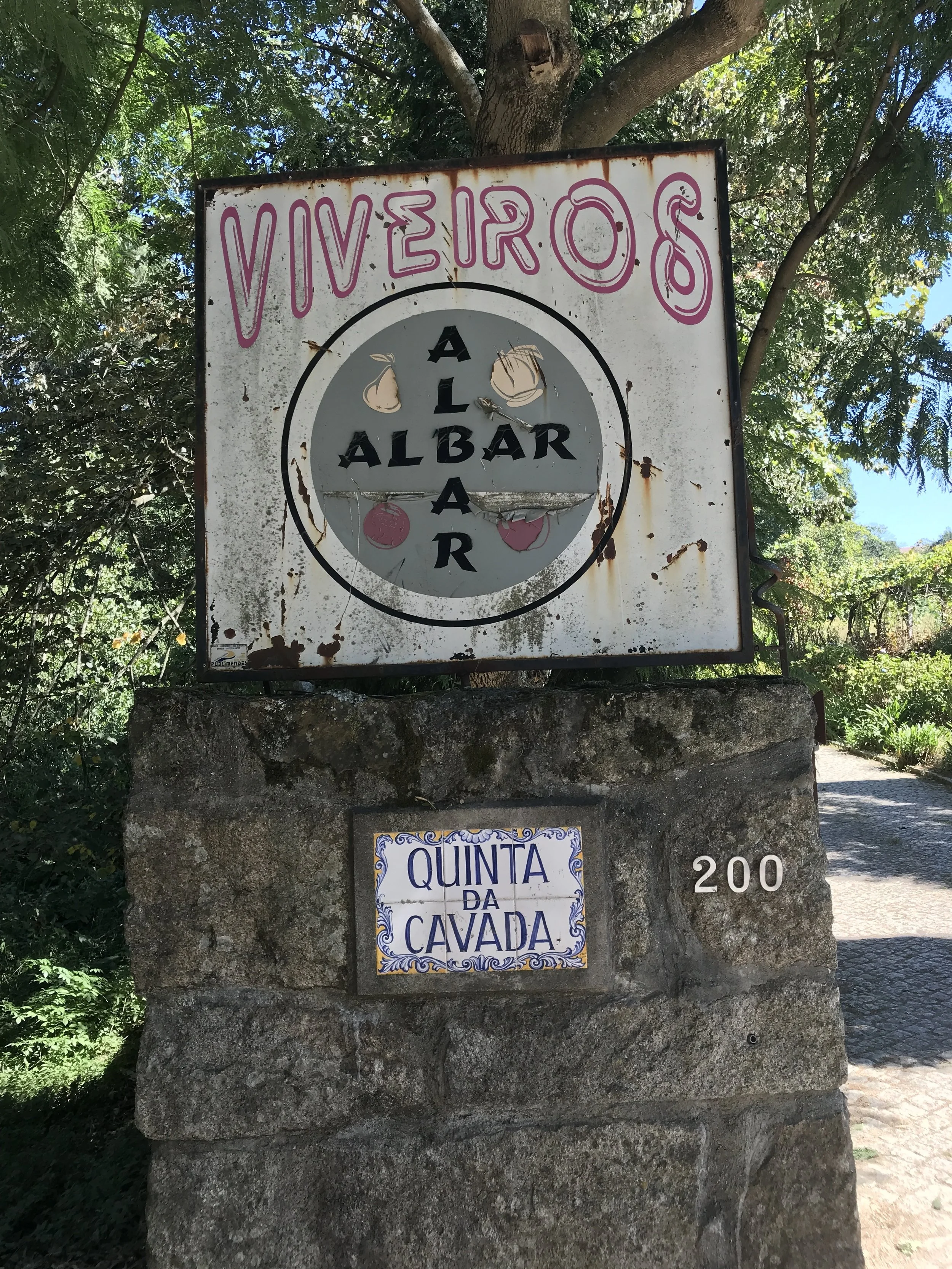  Our destination Viveiros Albar in Fânzeres. The name comes from Alberto Barbosa “AL-BAR” who started the business. This is a 4th generation nursery that has many varieties of figs.  https://www.viveirosalbar.com 