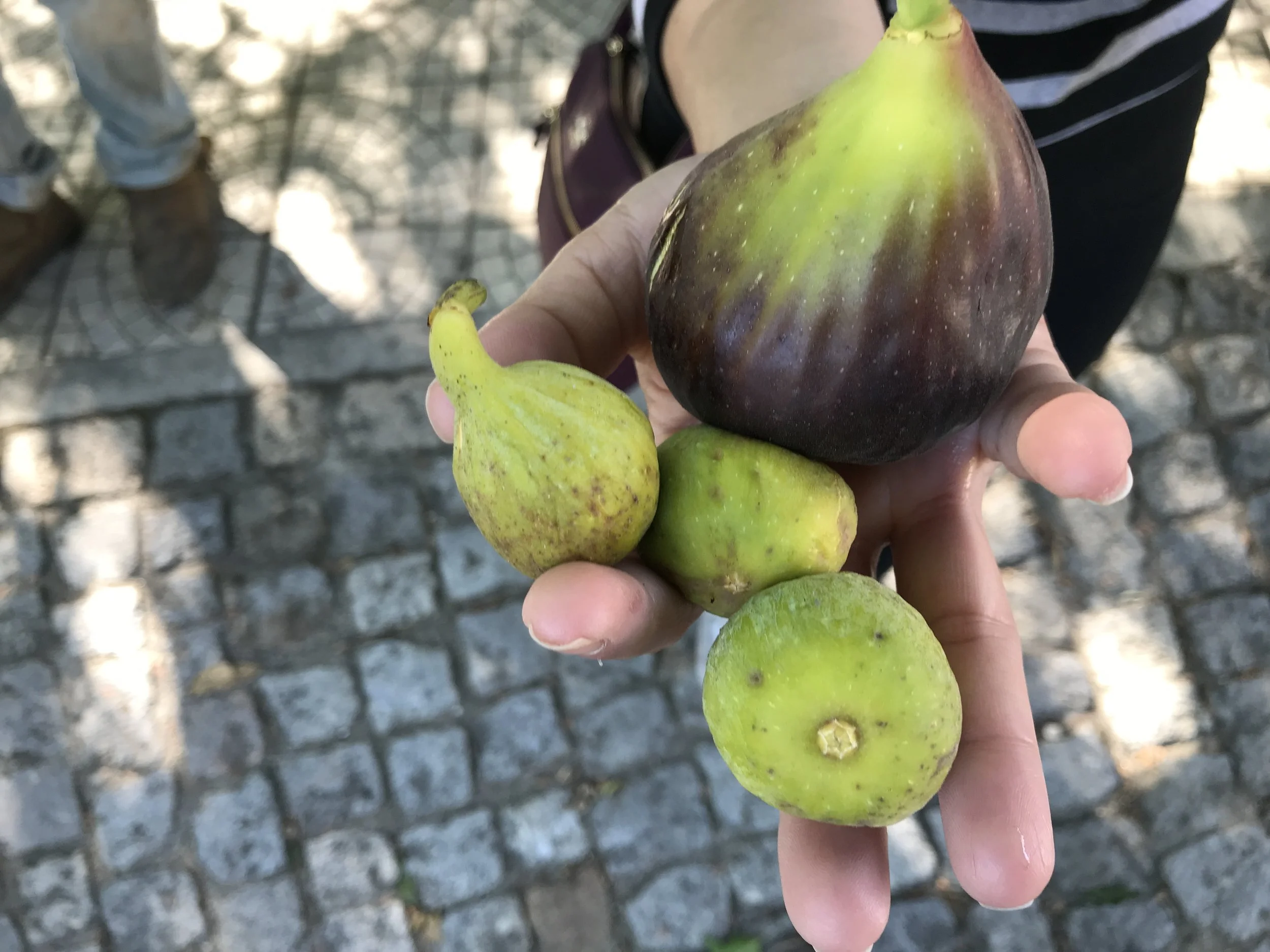  Chateau du Kennedy, Pingo de Mel and Adller 