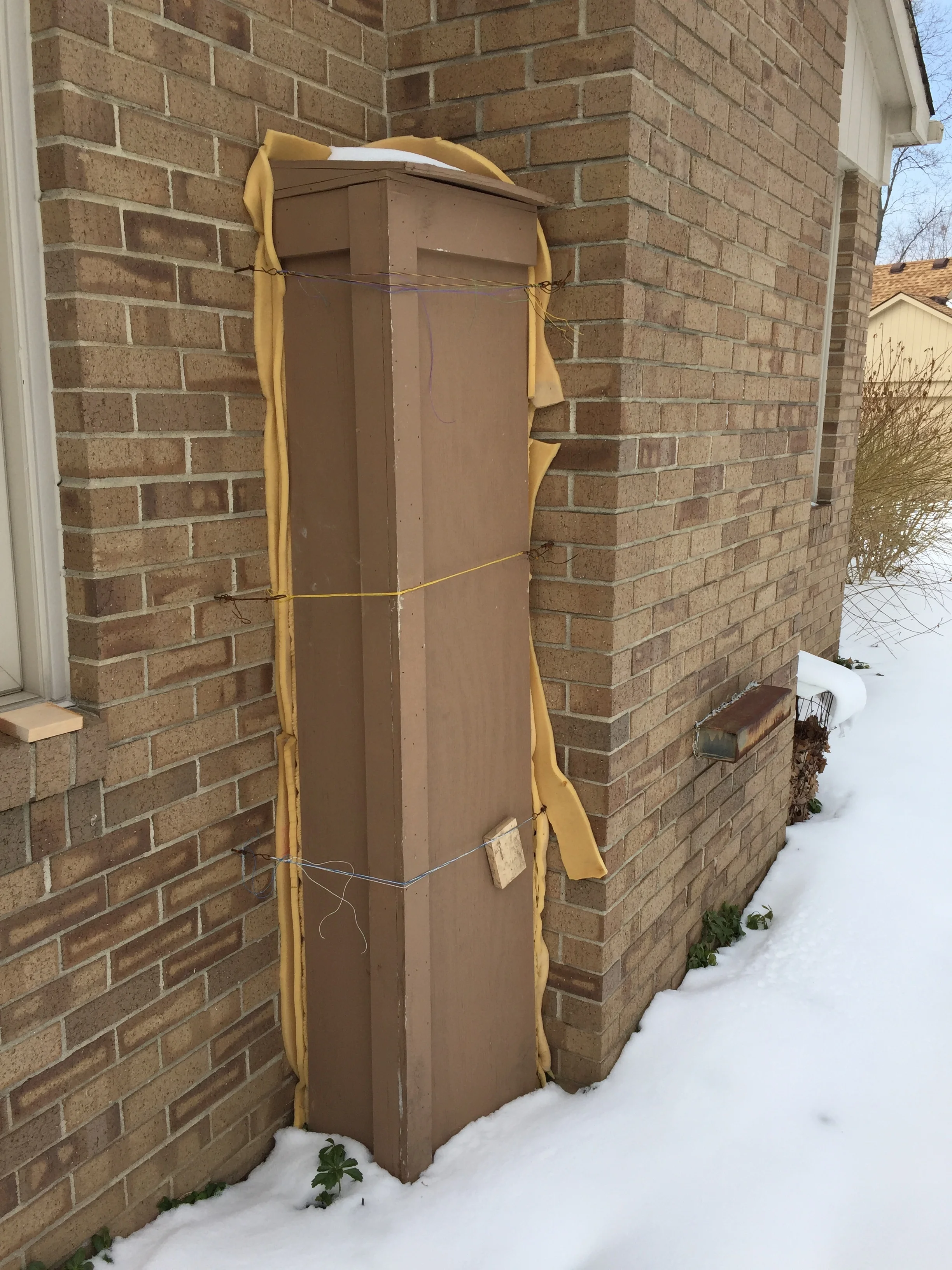  For years my father has been growing fig trees in-ground in southeastern Michigan. This fig tree has been planted next to the foundation of the house. It grows to about to 10 feet tall in the summer and produces 100’s of figs. In the fall the tree i