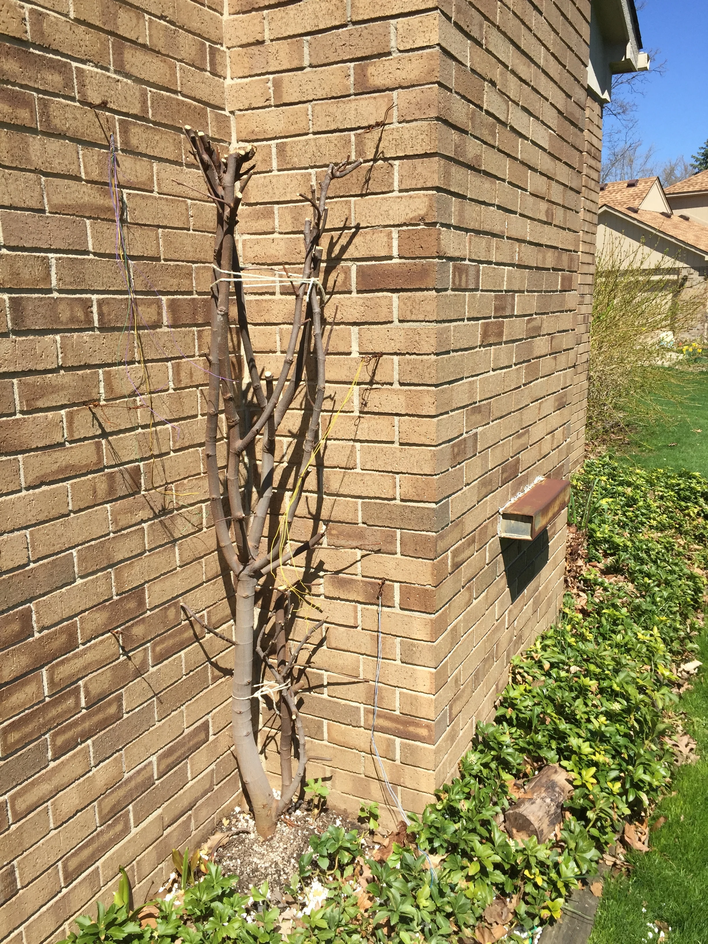  The box was removed on April 28th 2019 