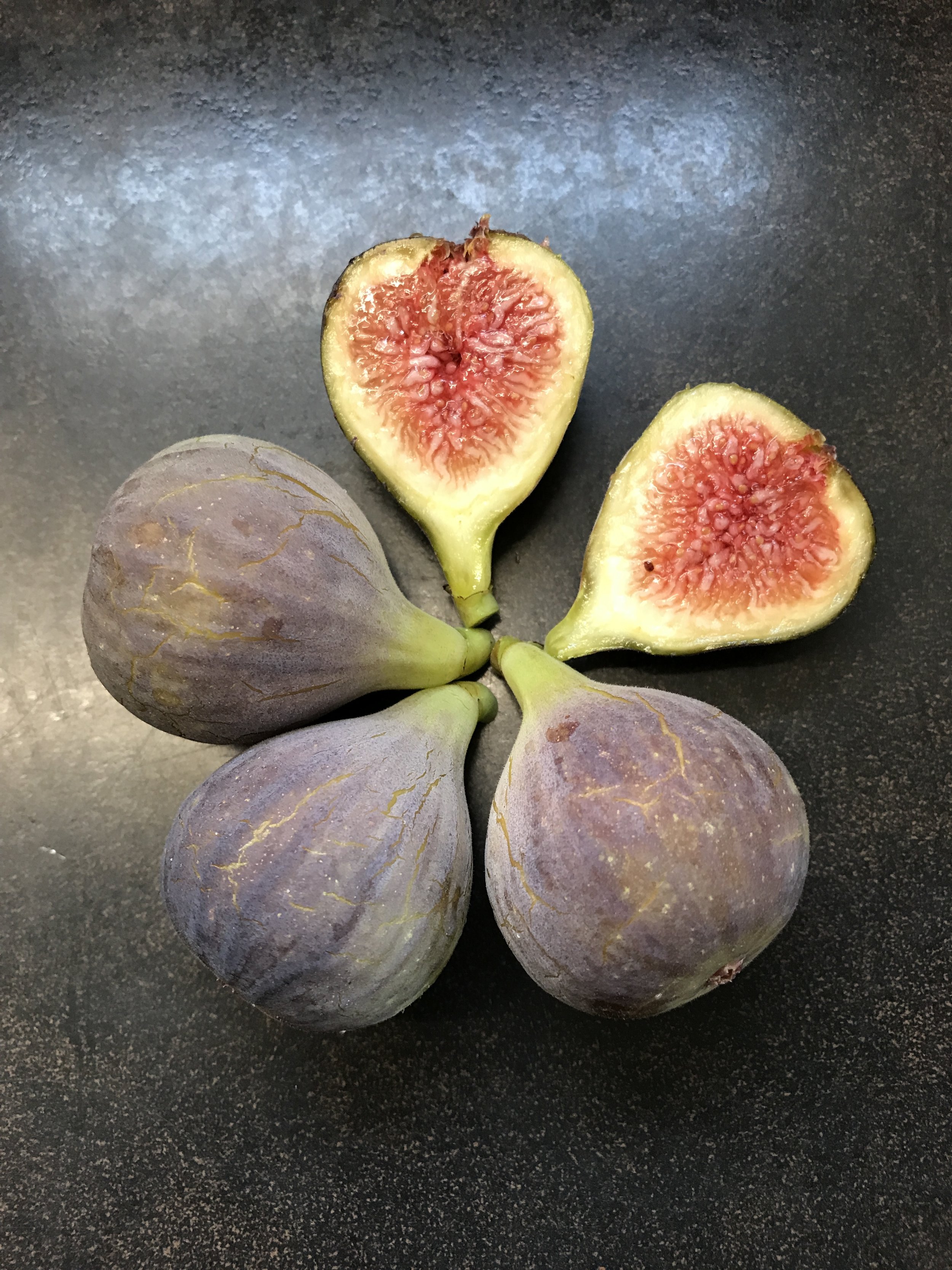 Fig Trees For Sale — french fig farm
