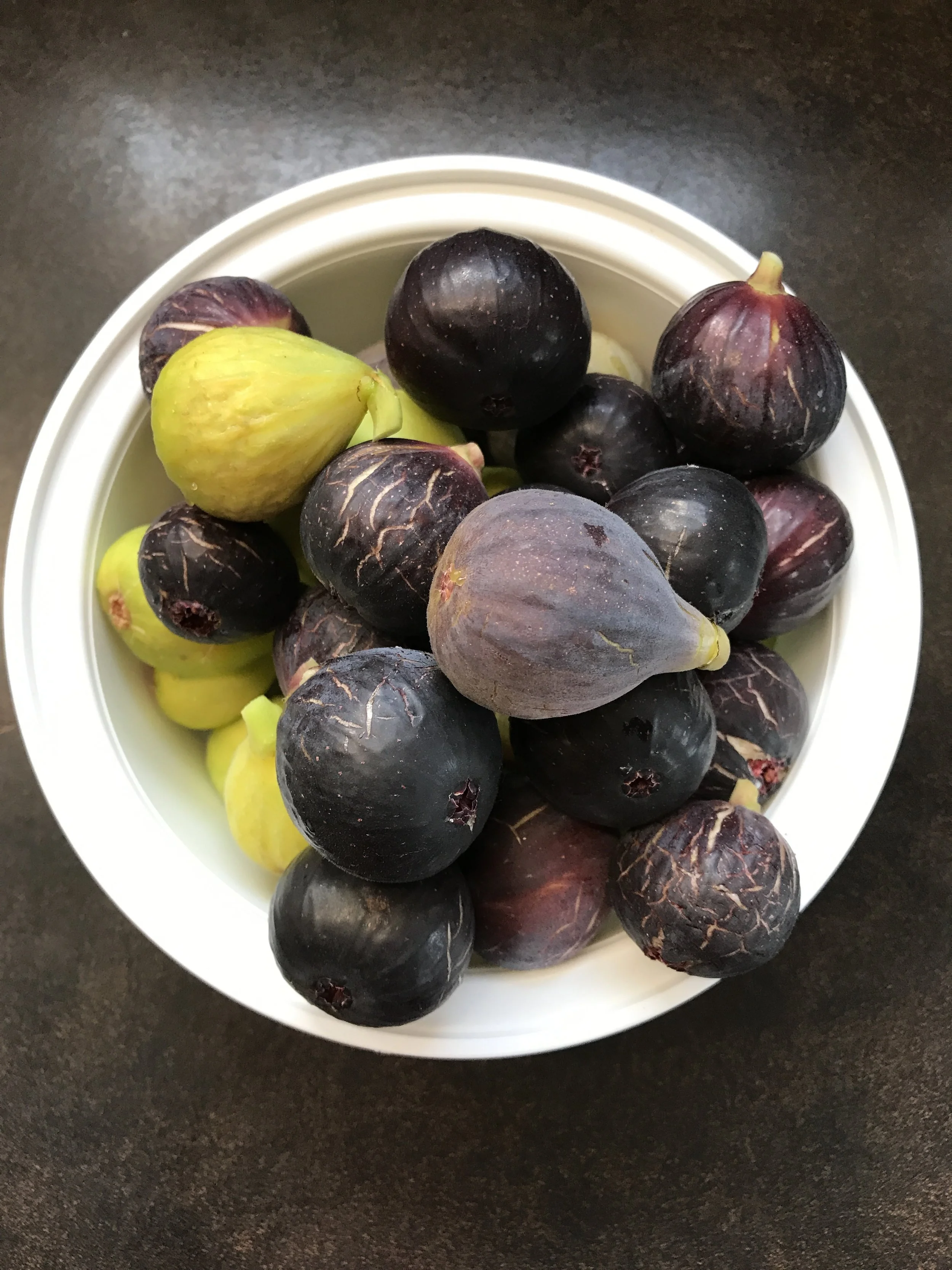  Négronne, Ronde de Bordeaux, Bécane, Blanche de Argenteuil and Hâtive de Argneteuil  August 17th, 2019  