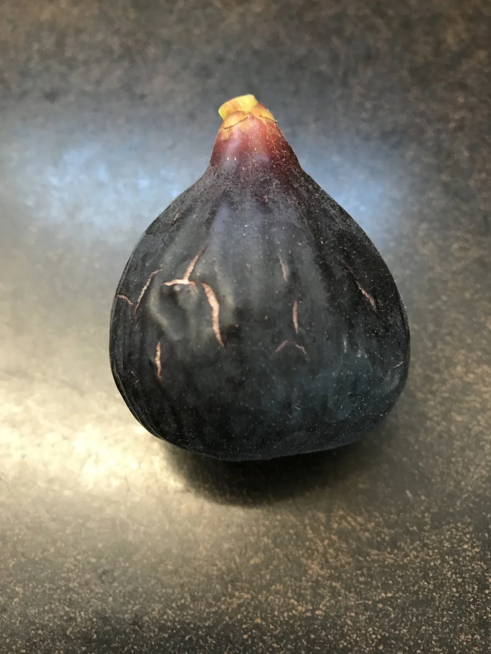 Ravin de Calce — french fig farm