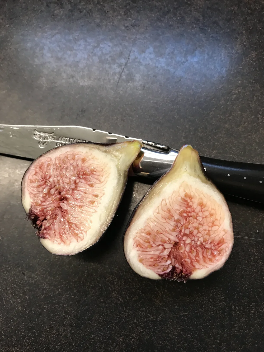 Ravin de Calce — french fig farm