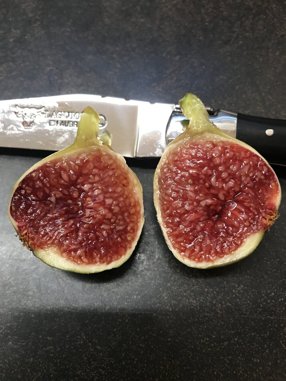 Sucrette — french fig farm