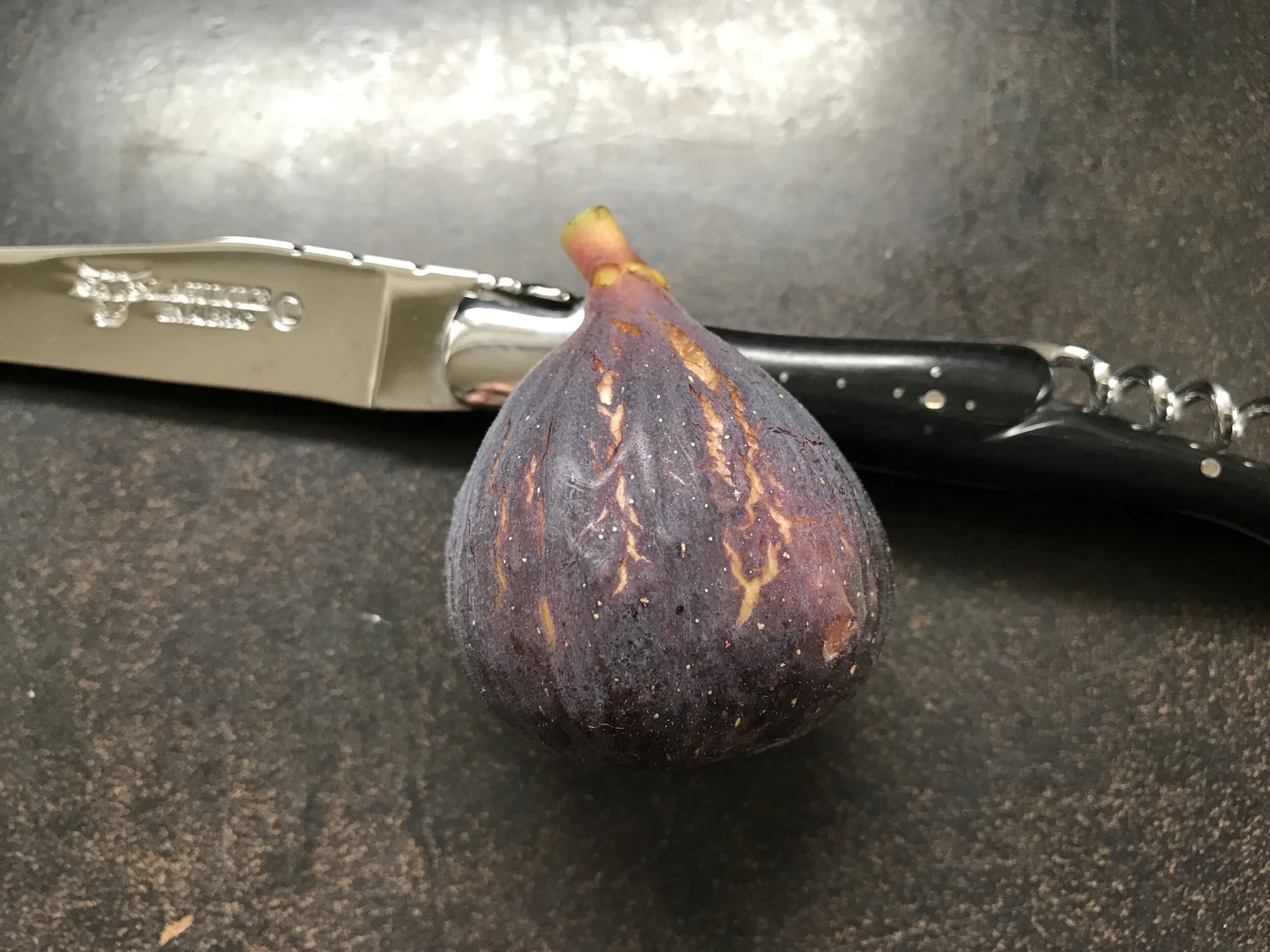 Ravin de Calce — french fig farm