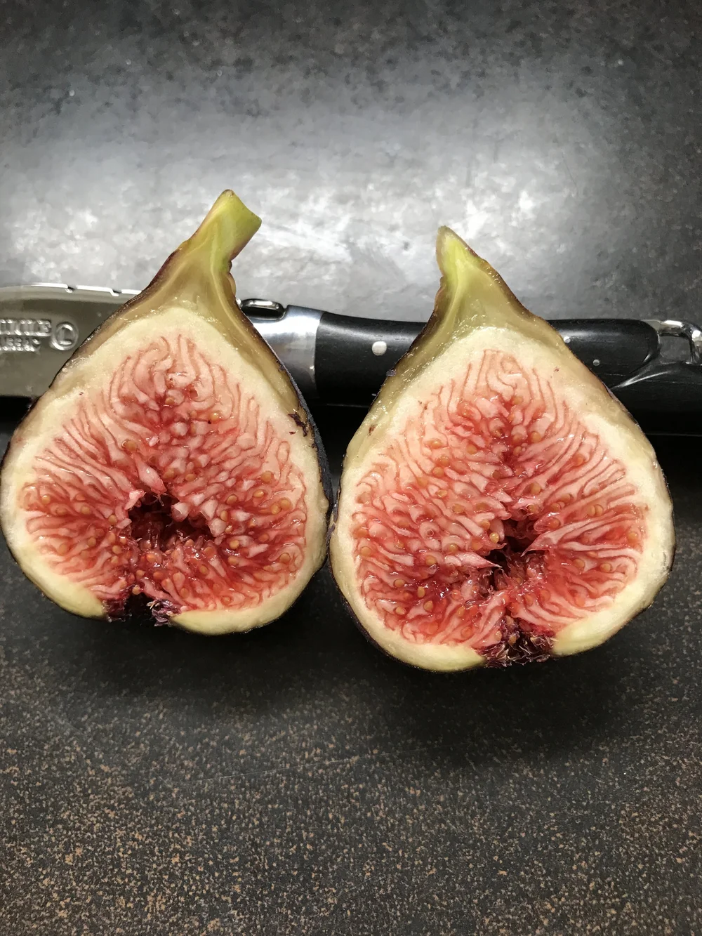 Ravin de Calce — french fig farm