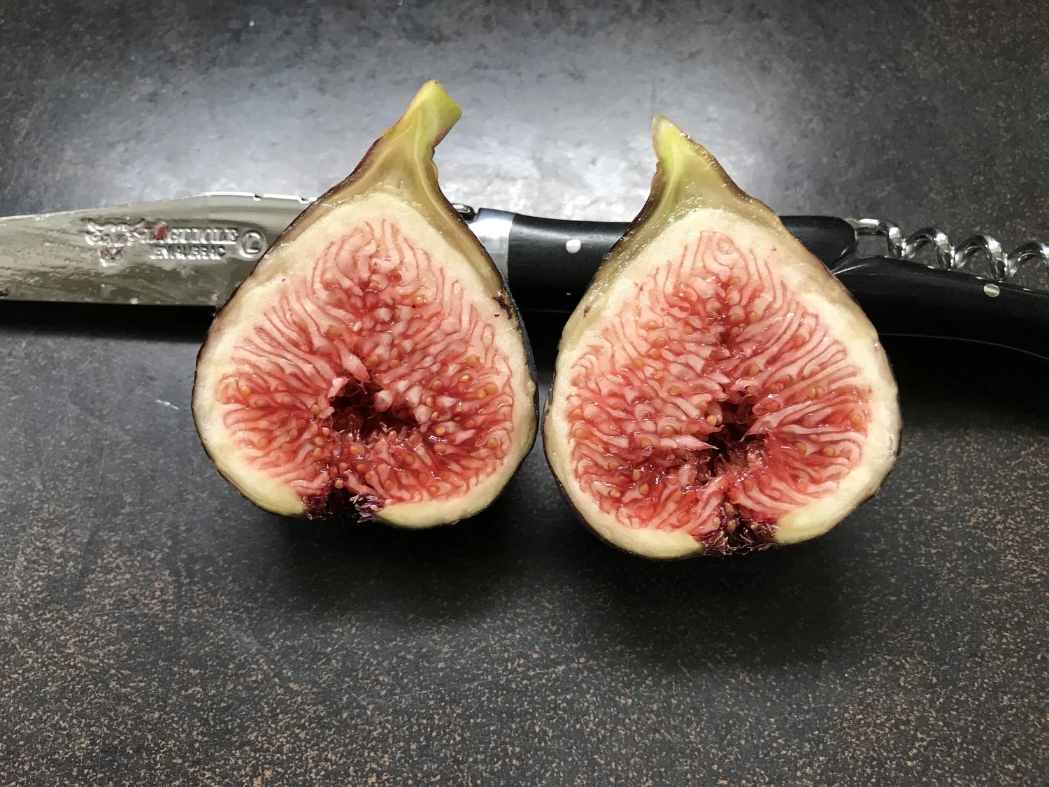 Ravin de Calce — french fig farm