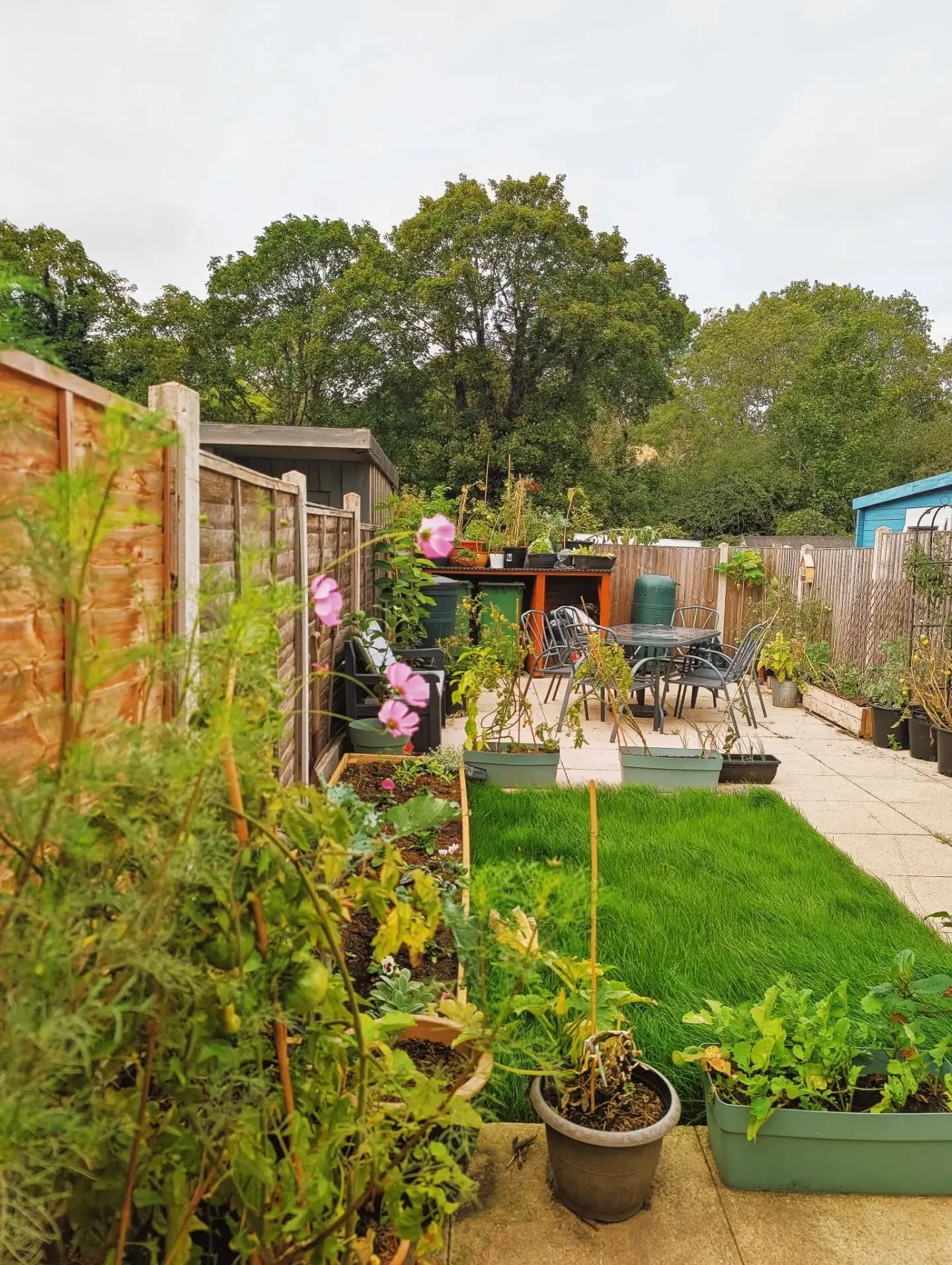 Swipe to see what the garden looked like when we got the house 🥰 

It's truly been such a passion project and I can't wait for next year! Can you imagine when the flower bed has grown, the creeping thyme is in the pavement cracks, and more homemade 