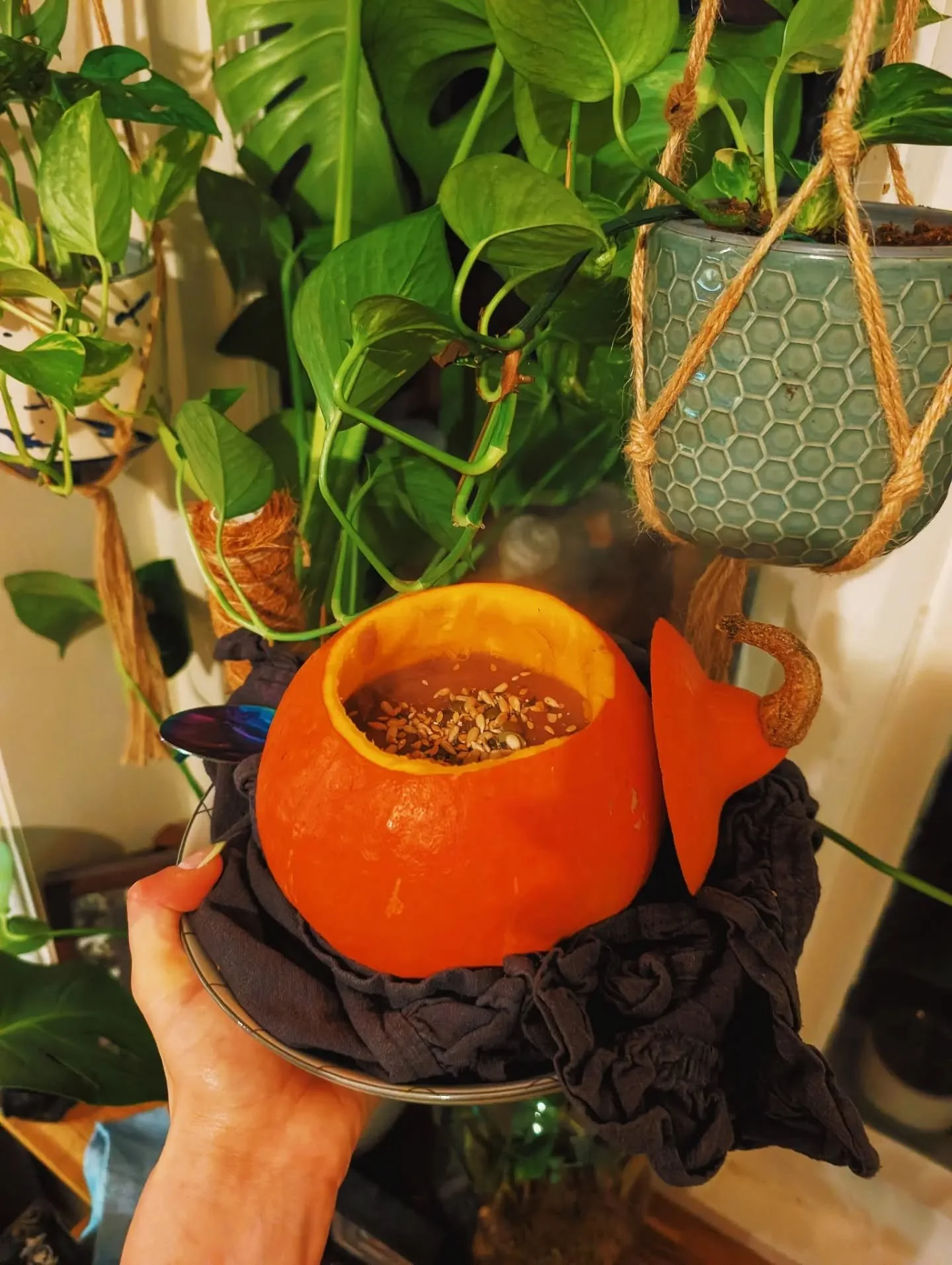 Is it even autumn if you're not serving soup in a pumpkin? This gorgeous Red Kuri was in my @kentfoodhubscic box and I knew I wanted to make it a big part of the dish.

I made a pumpkin, parsnip, purple cauliflower and potato soup which is perfect fo