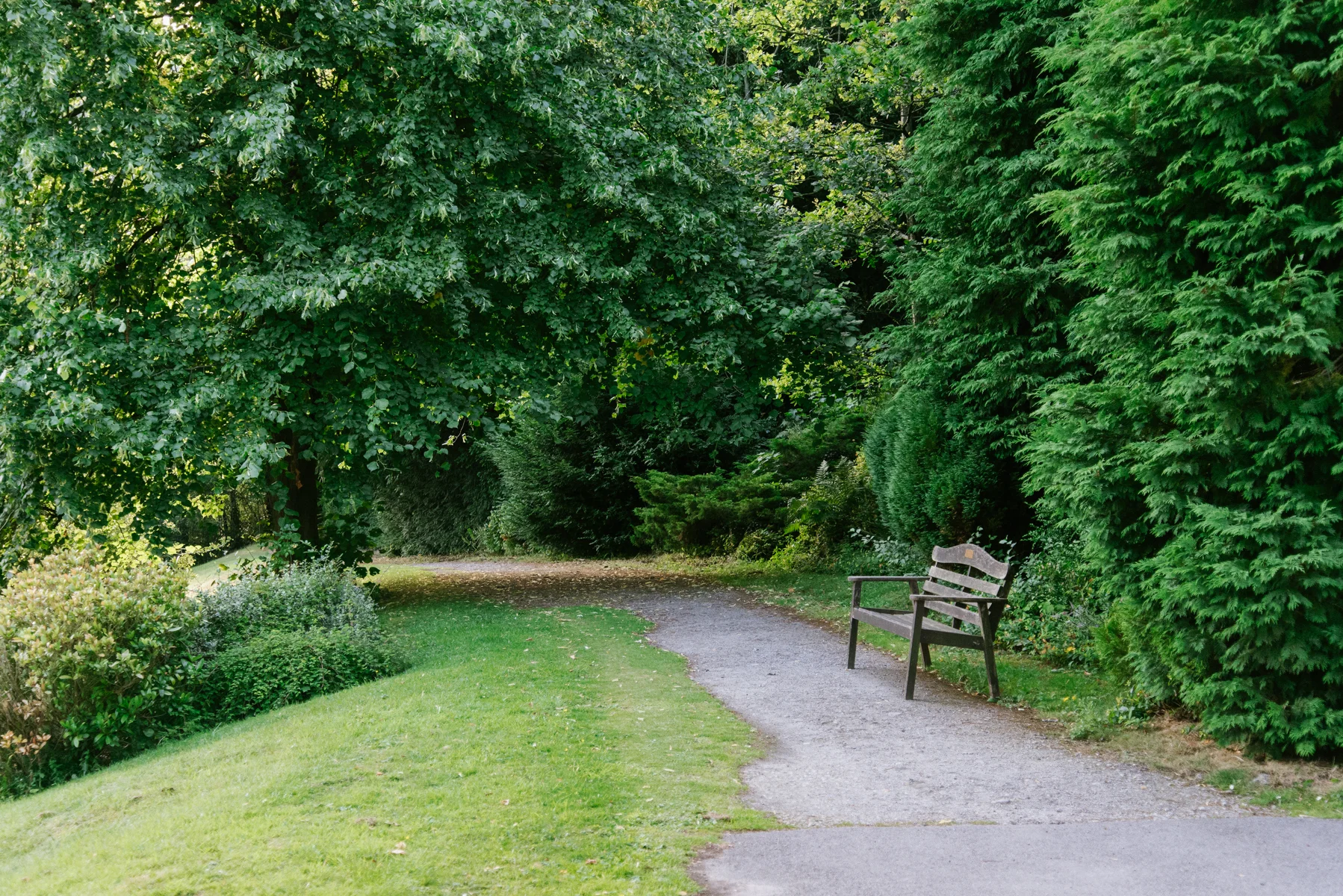 DSC_4530Lr.jpg
