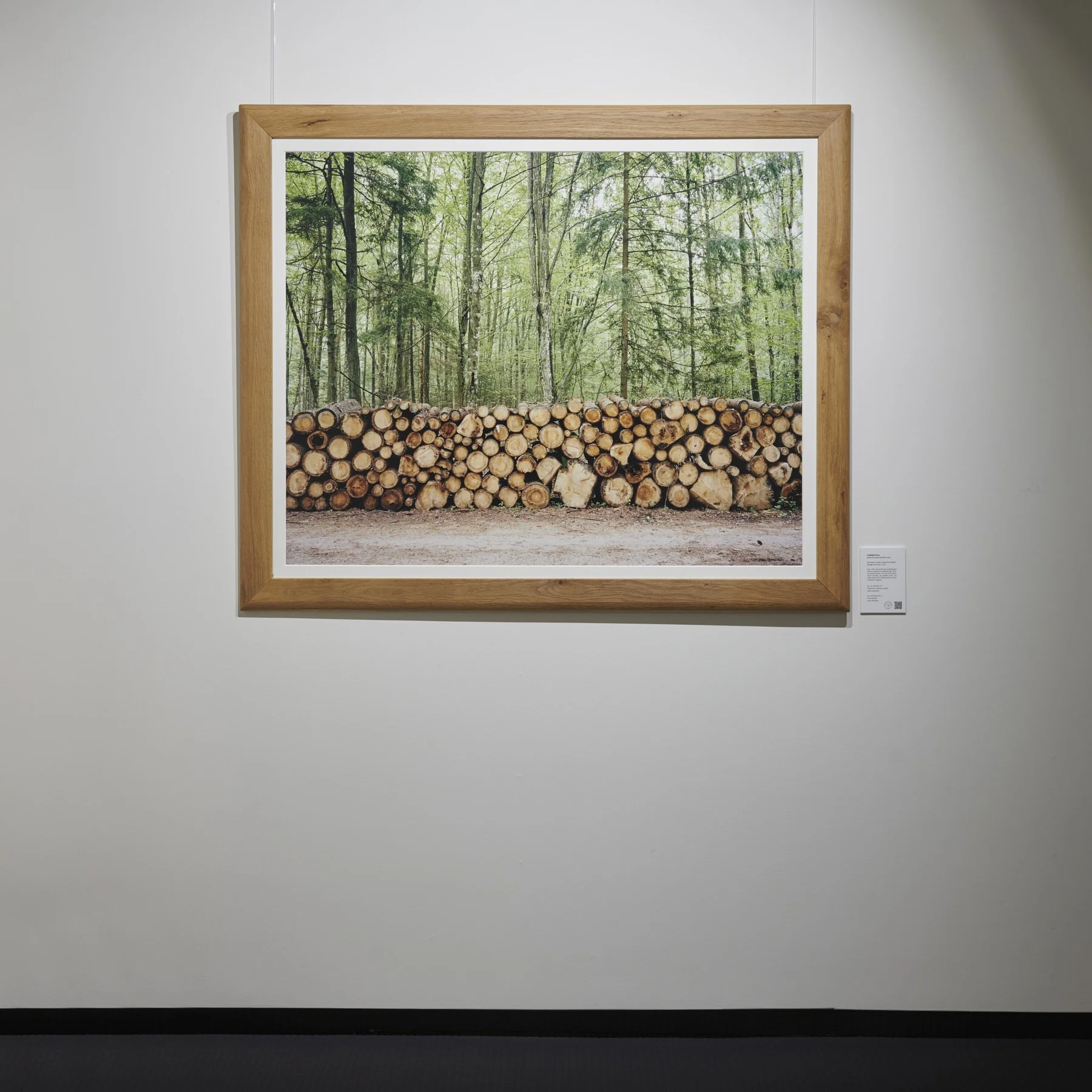 2 - Lumber Pile installed - Jamie McGregor Smith.jpg