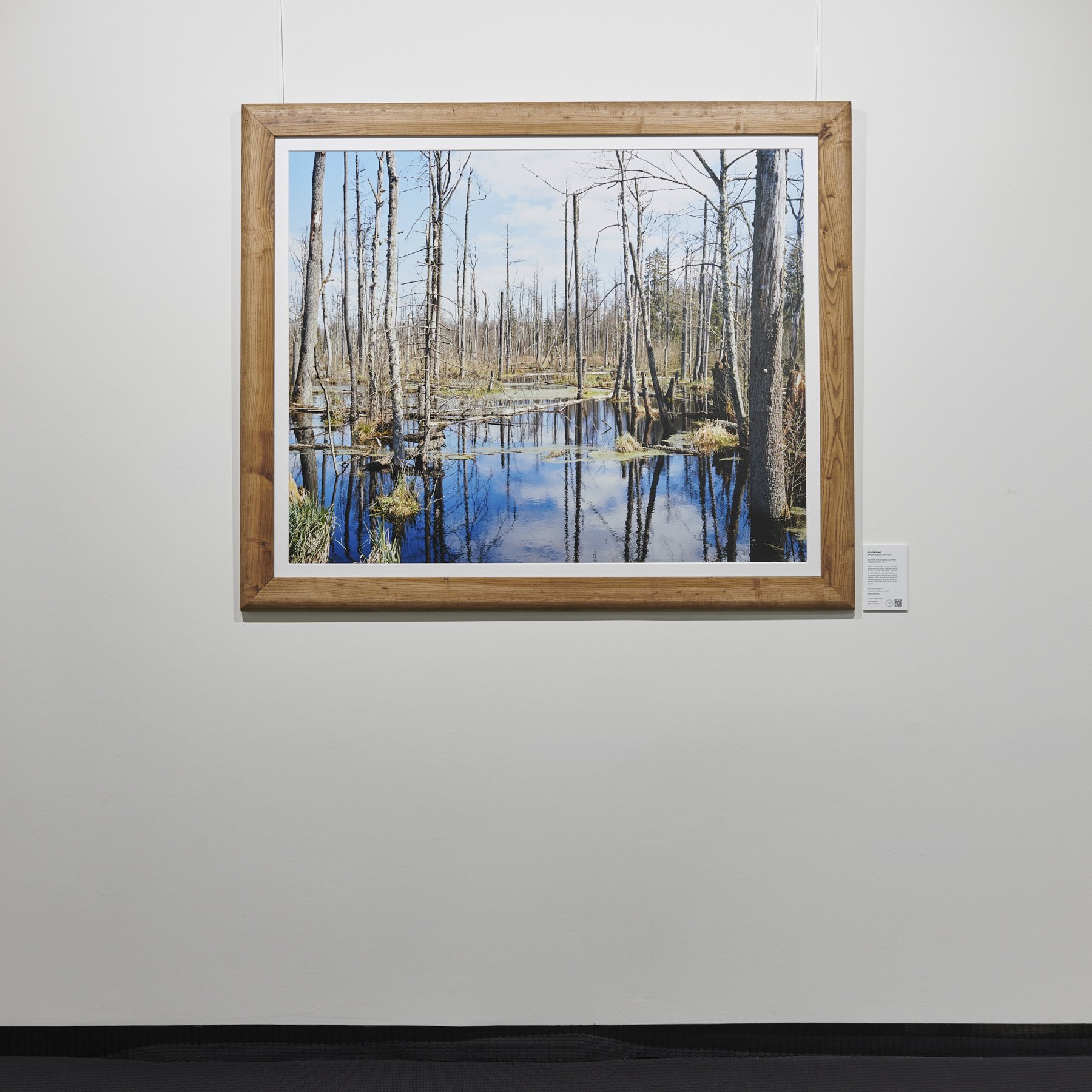 2 - Beaver Pond installed - Jamie McGregor Smith.jpg