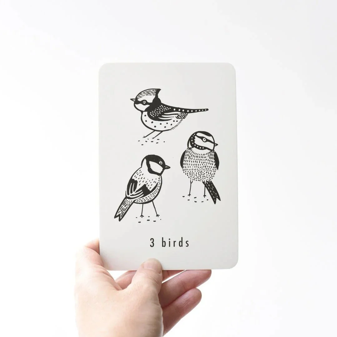 wee-gallery-Nature-Number-learning-cards-birds-web.jpeg