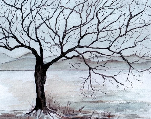 winter-tree-brenda-owen.jpg
