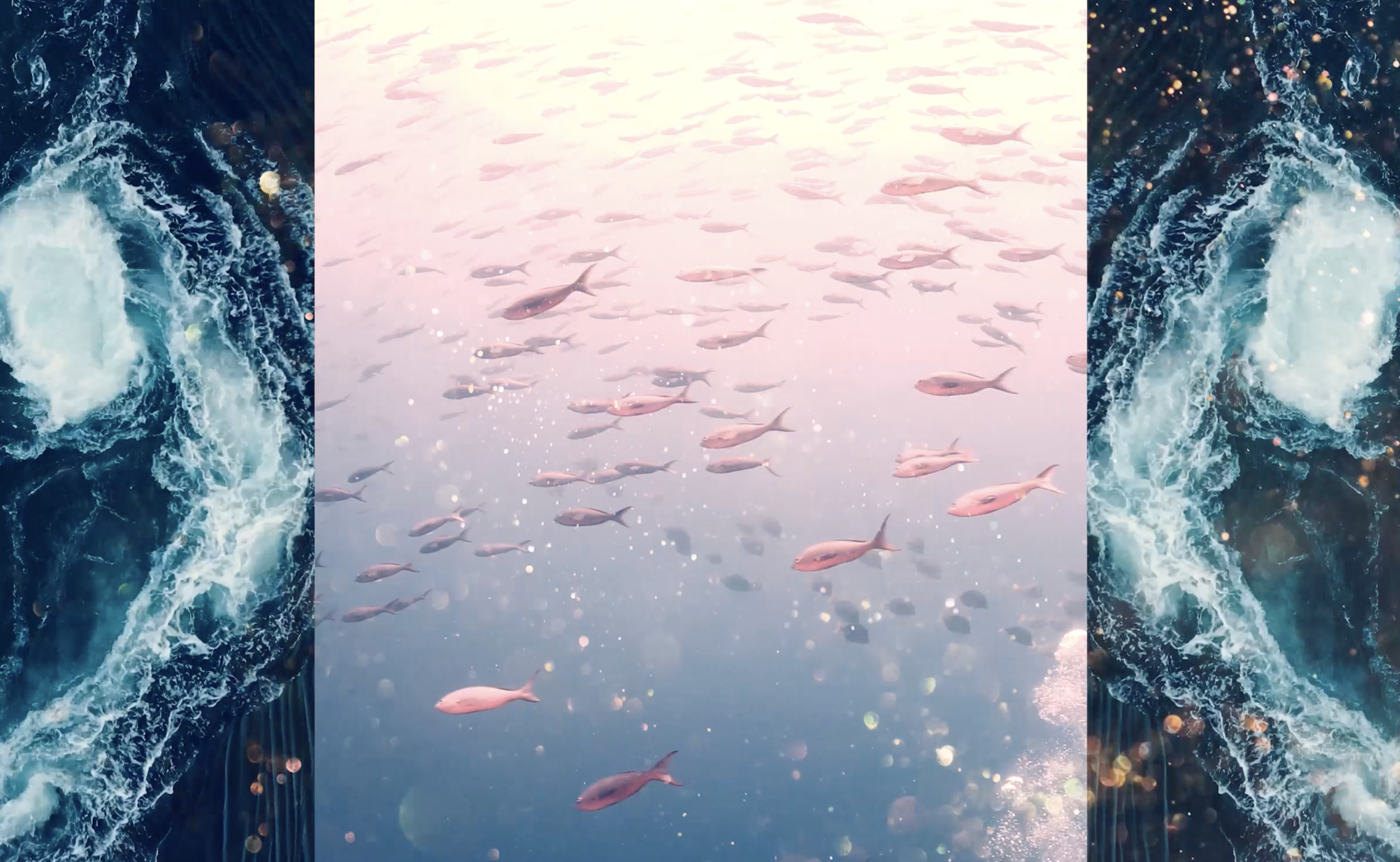 Landsstaevne 2025 DGI Storskaerm 16.png