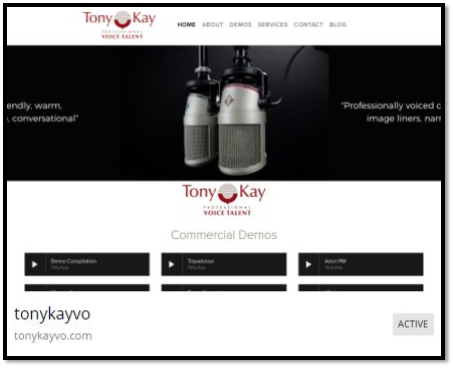 Tony Kay Professional Voice Talent.png