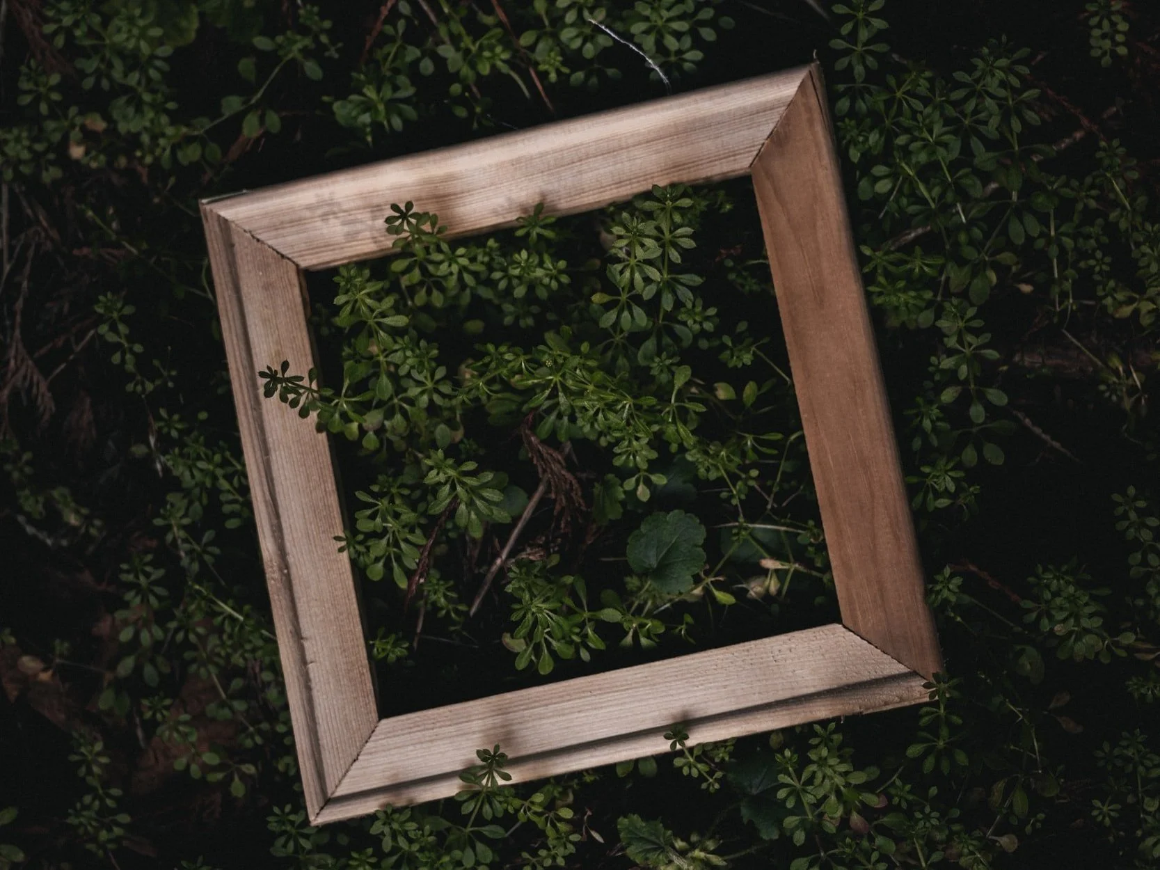 Frame in Frame  For Landscape Photographers