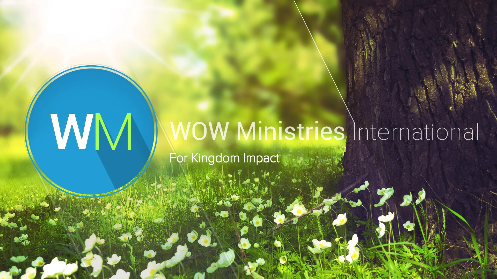 main splash banner springNEW byline.jpg